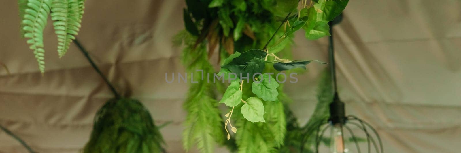 Cafe interior with elements of biophilic design. The ceiling is decorated with hanging indoor plants. The concept of biophilia.