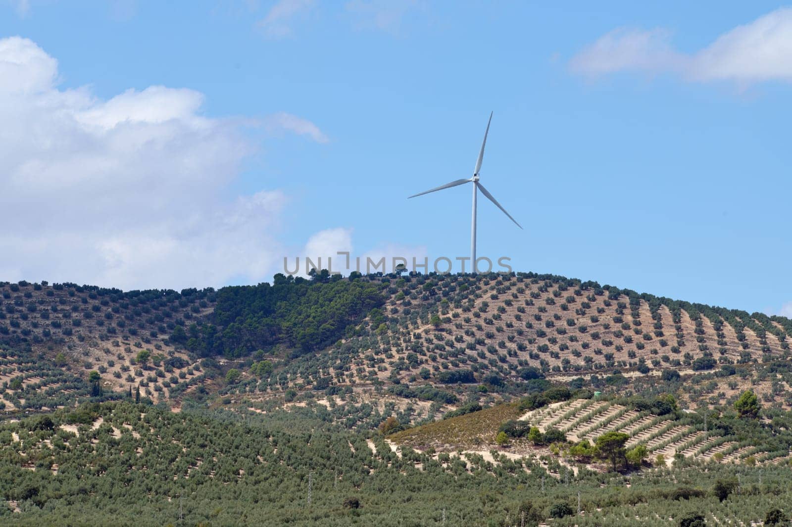 Green energy wind park with rotating high wind turbines for generation electricity. Ecological power energy generation. by artgf