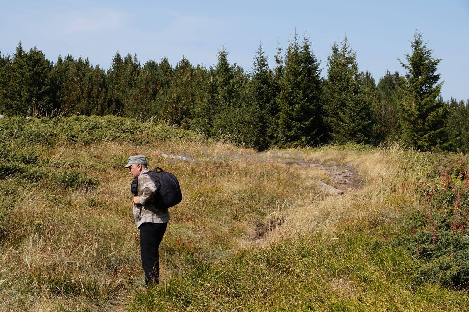 an older man walks alone into the forest with a backpack, solo travel.