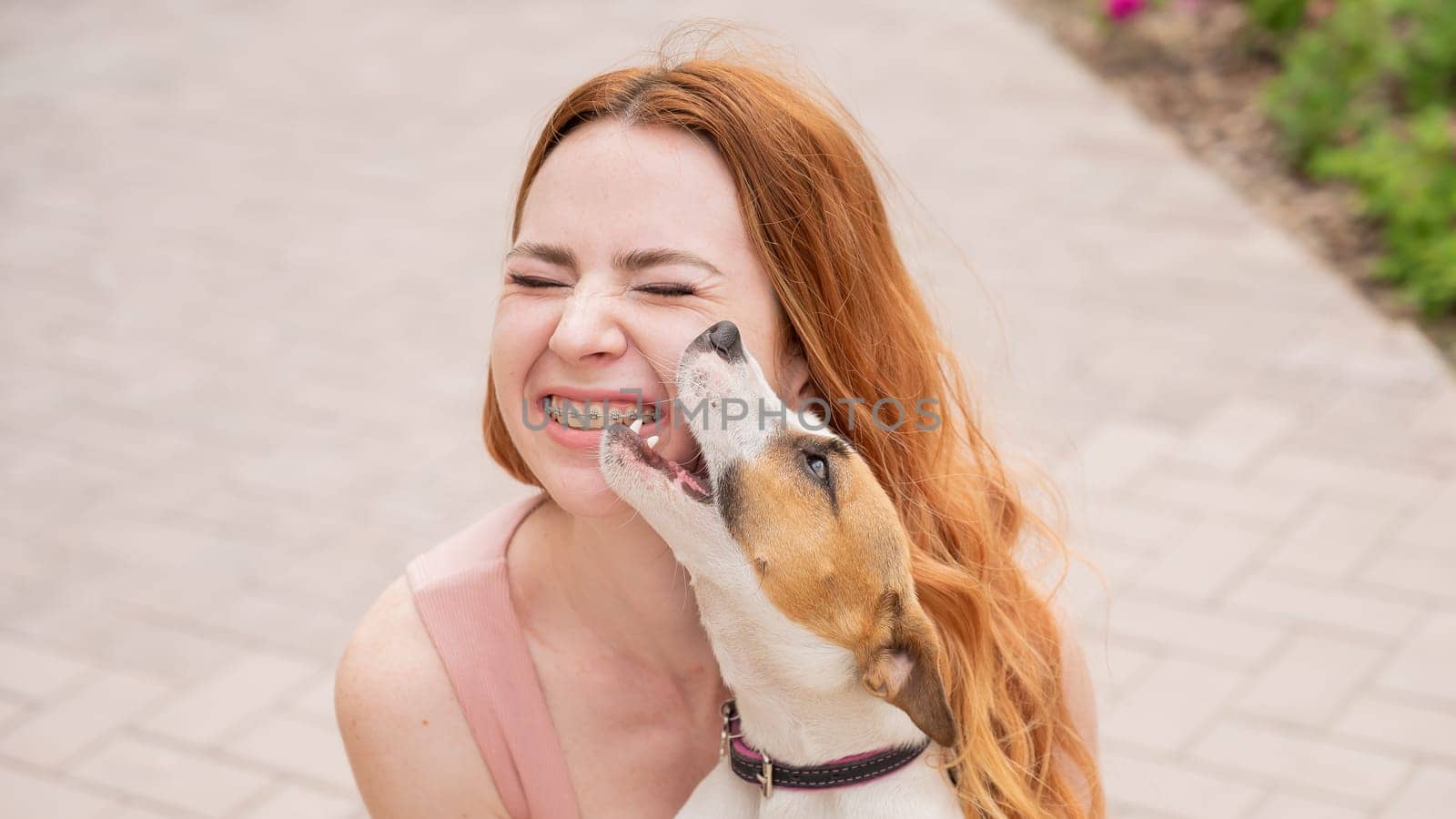 Dog jack russell terrier licks the owner in the face outdoors. Girl with braces on her teeth