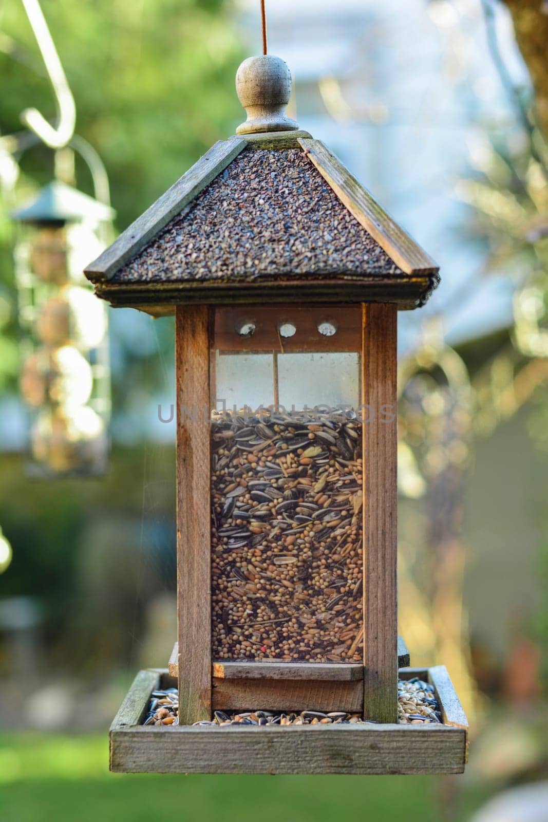 Bird house hanging from the tree