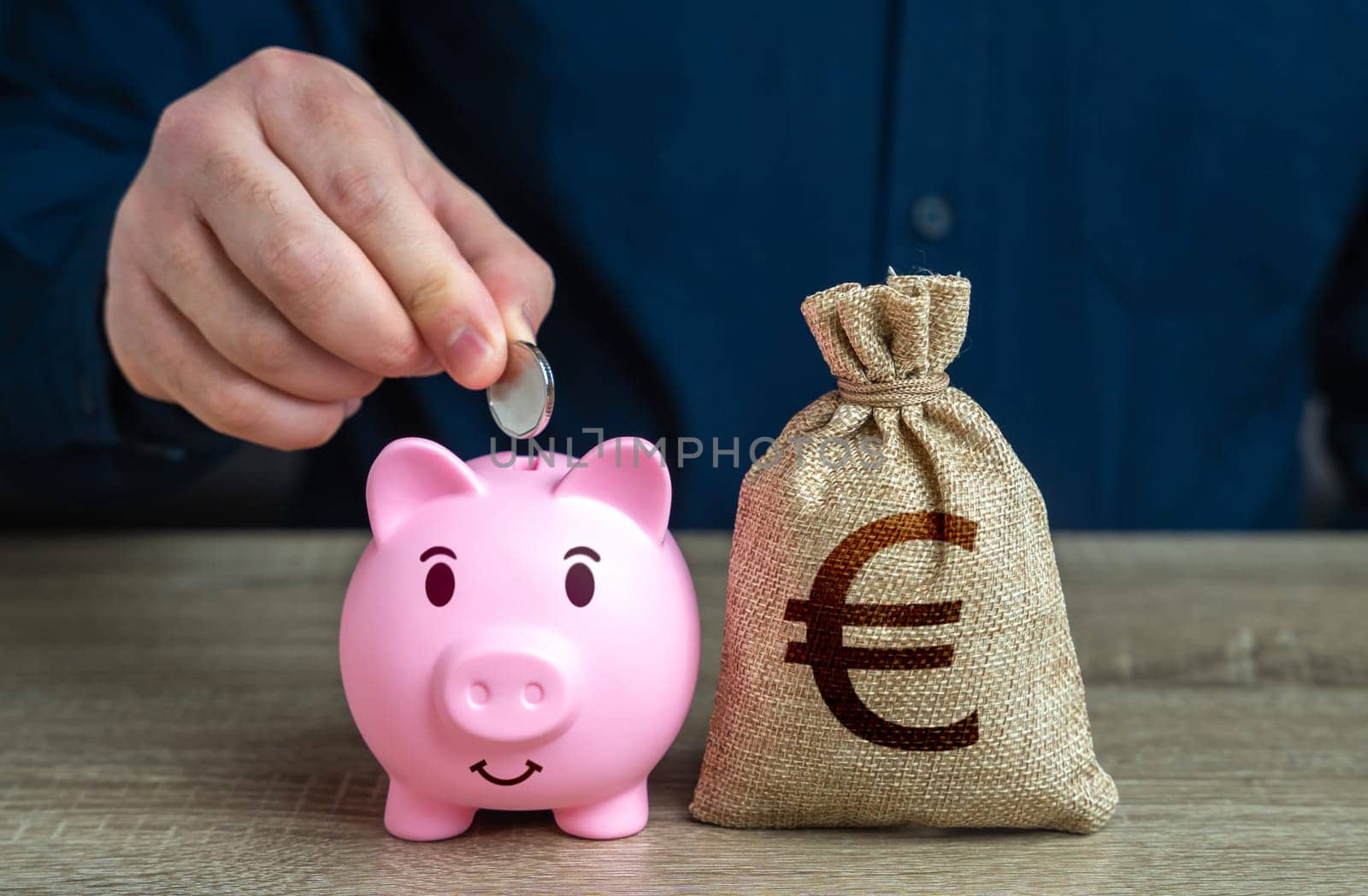 Pig piggy bank and euro money bag. Savings management. Banks and finance. Savings and accumulation of funds from cutting expenses. Investments, fundraising.