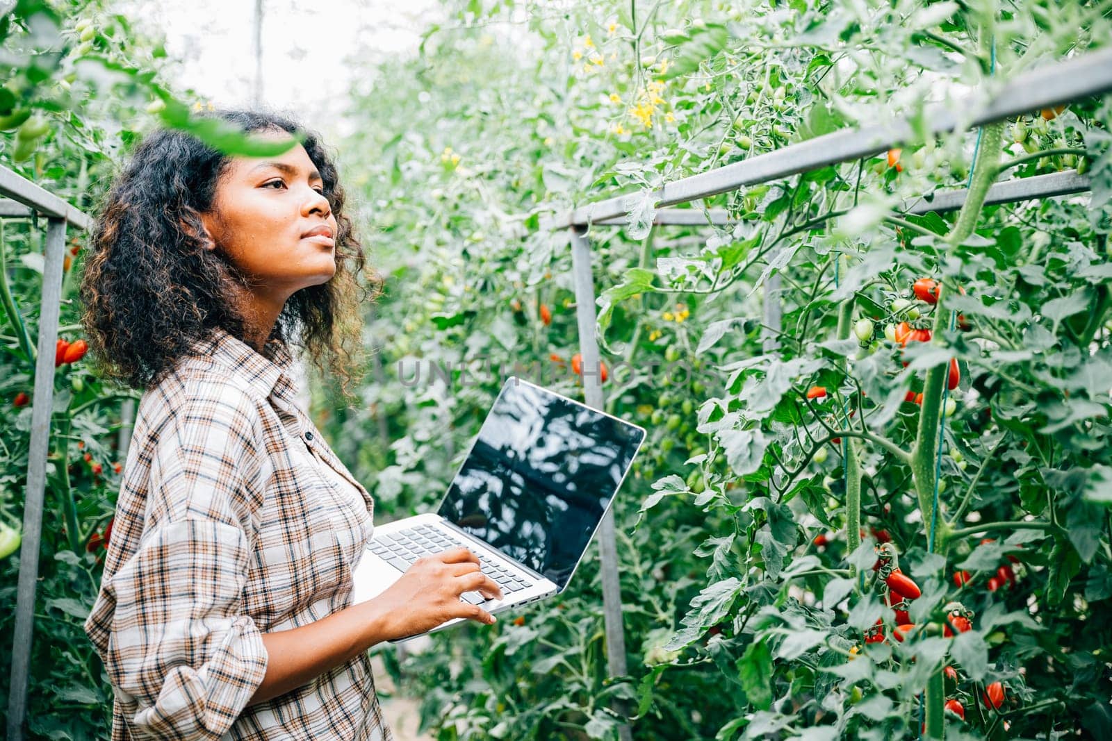 Farmers examine organic tomato quality in a greenhouse; woman notes on laptop. Her smiling portrait shows expertise innovative farming and dedication to growth care.