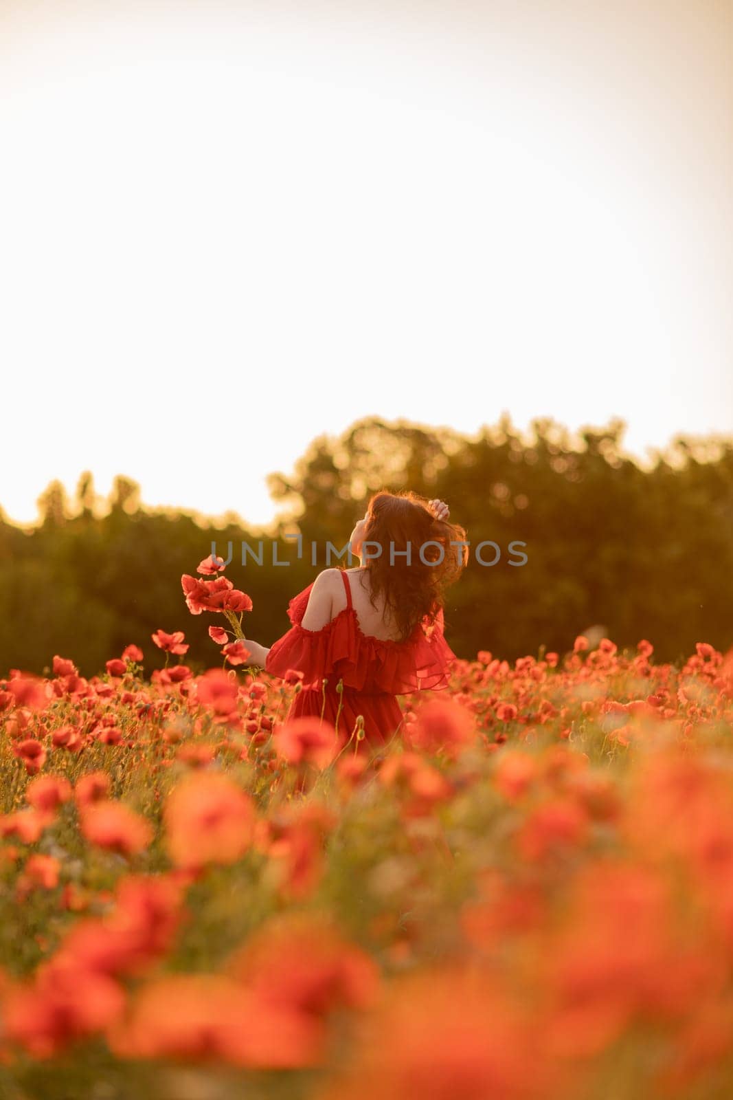 Woman poppy field red dress. Happy woman in a long red dress in a beautiful large poppy field. Blond stands with her back posing on a large field of red poppies.