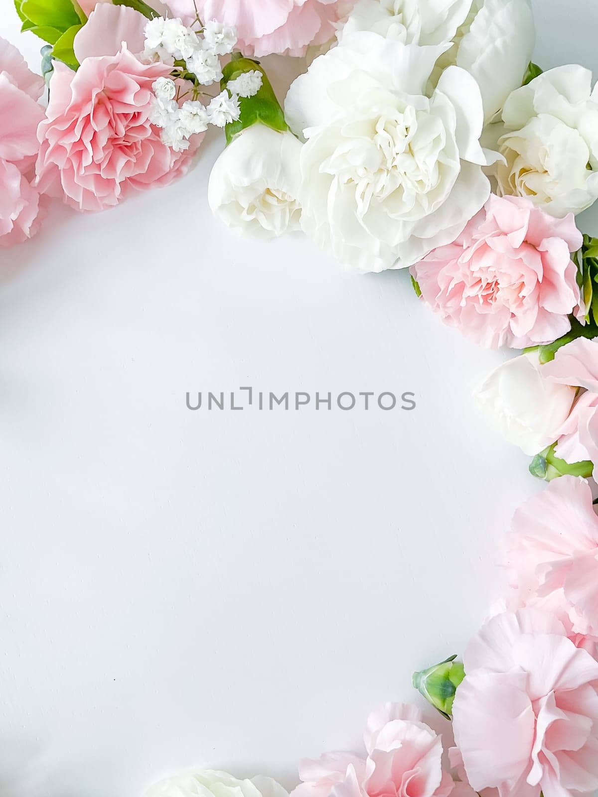 Close up photo of a bouquet of pink and white carnations isolated on a white background. With empty space for text or inscription. For postcard, advertisement or website.