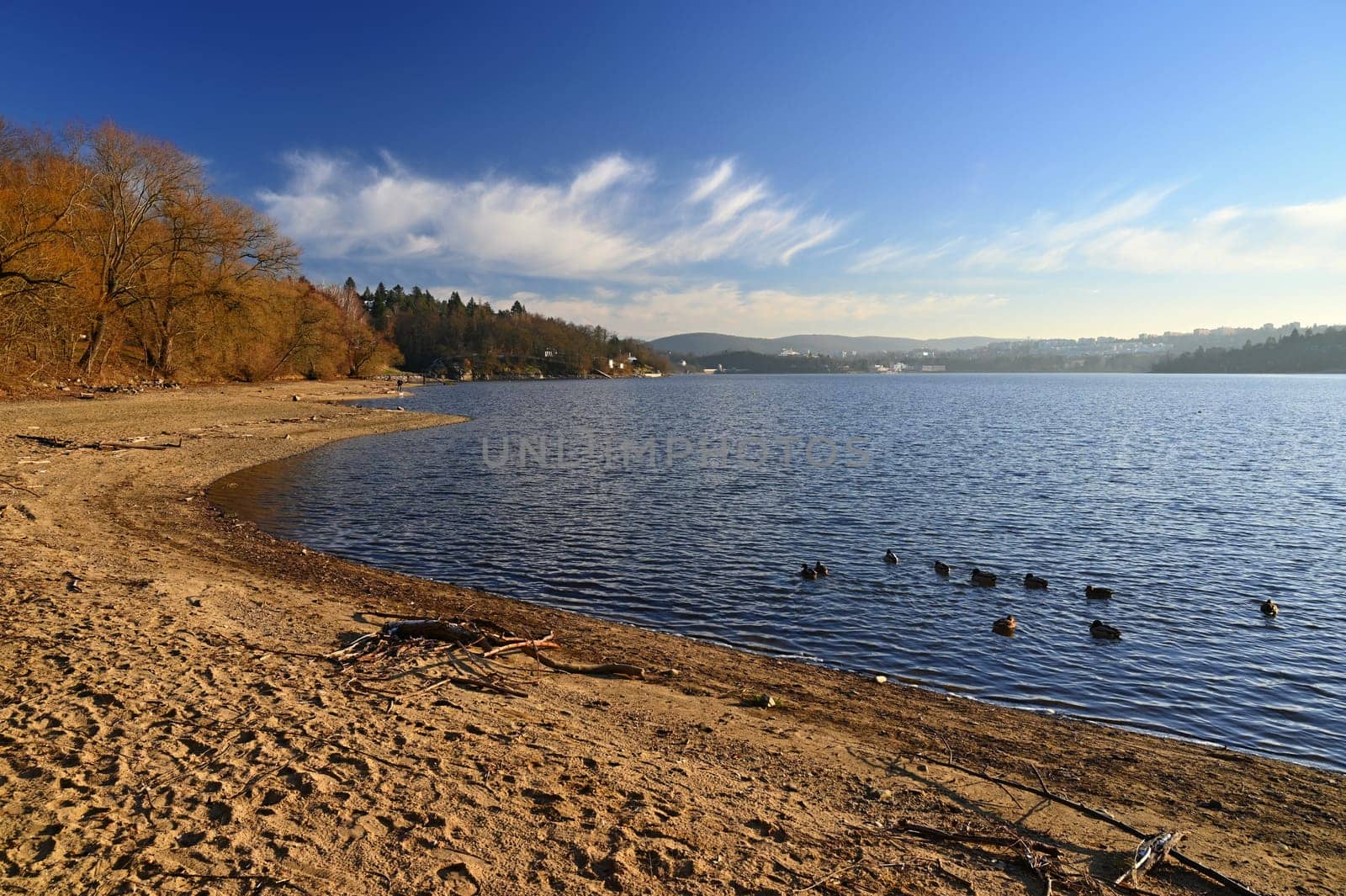 Brno Reservoir - City of Brno - Czech Republic - Europe. Beautiful landscape with water and beach. Nice sunny weather with blue sky in winter time. by Montypeter