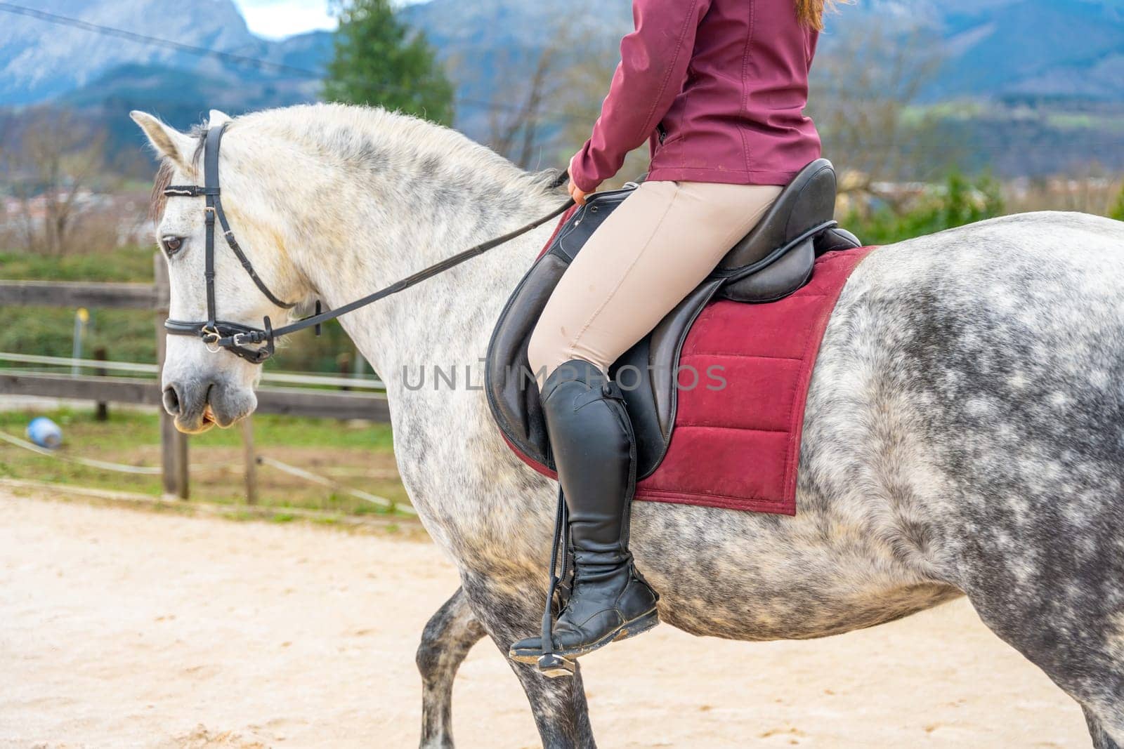 Cropped photo of the lower part of a woman with boots training with a horse