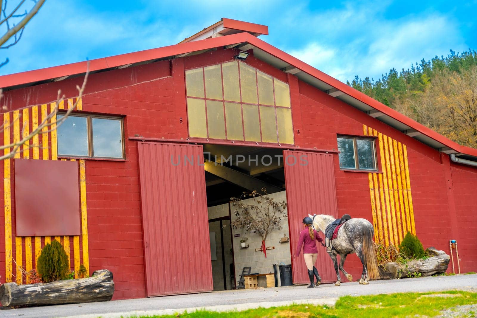 Wide view photo with copy space of a woman and horse coming in to the stable after riding