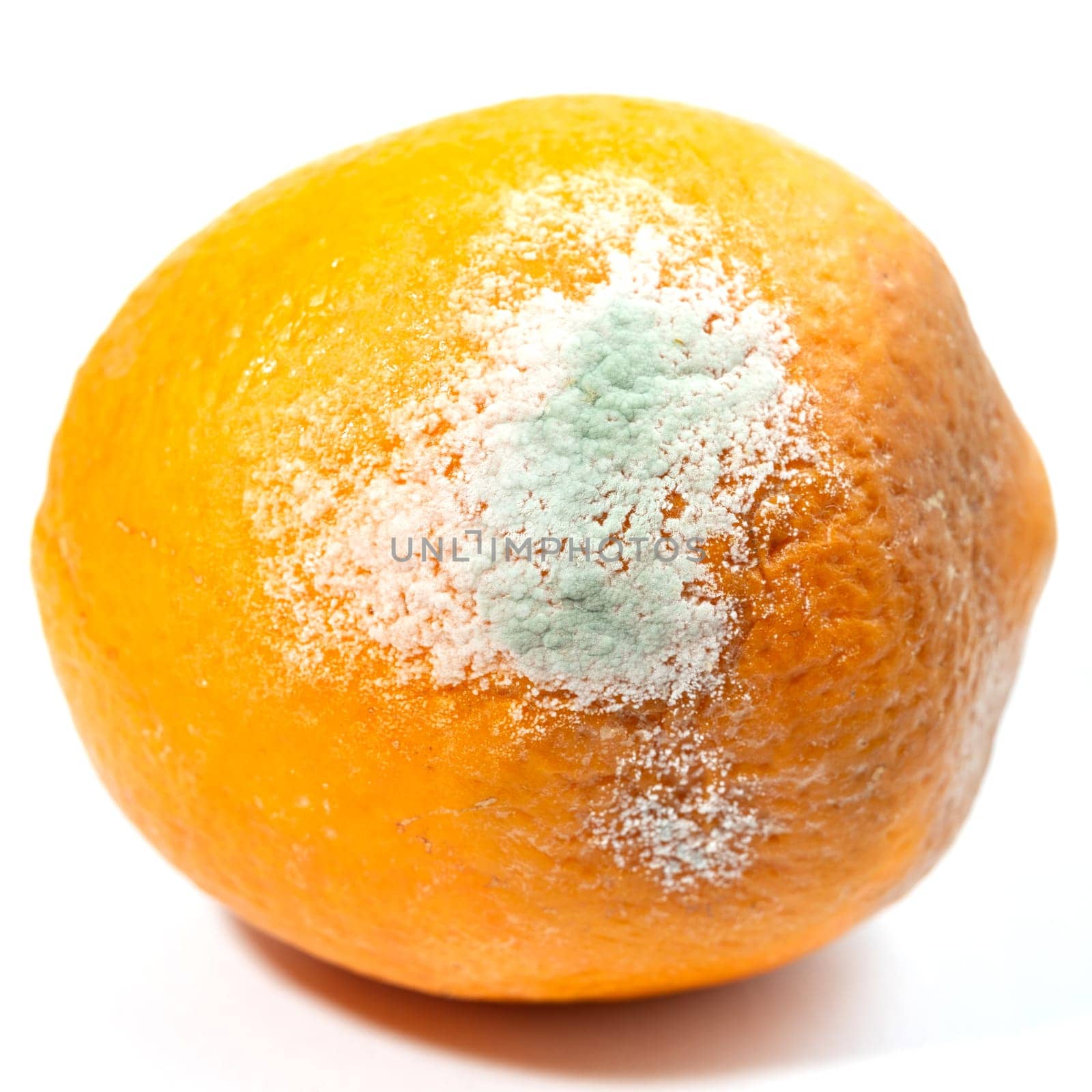 The big orange started to get moldy.
