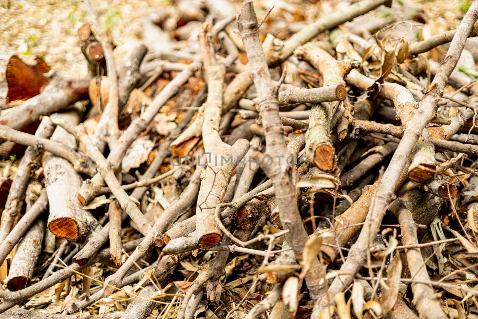 Full Frame Background. Pile of firewood in front of the farm to be used to make a bonfire.