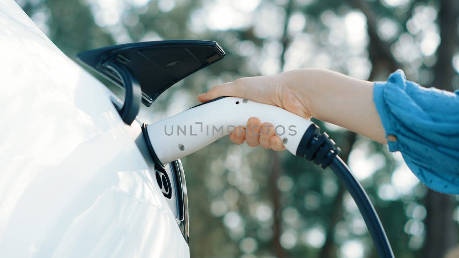 Closeup woman recharge EV electric car's battery at parking lot in natural green park. Clean energy technology for rechargeable vehicle for sustainable and eco friendly travel. Perpetual