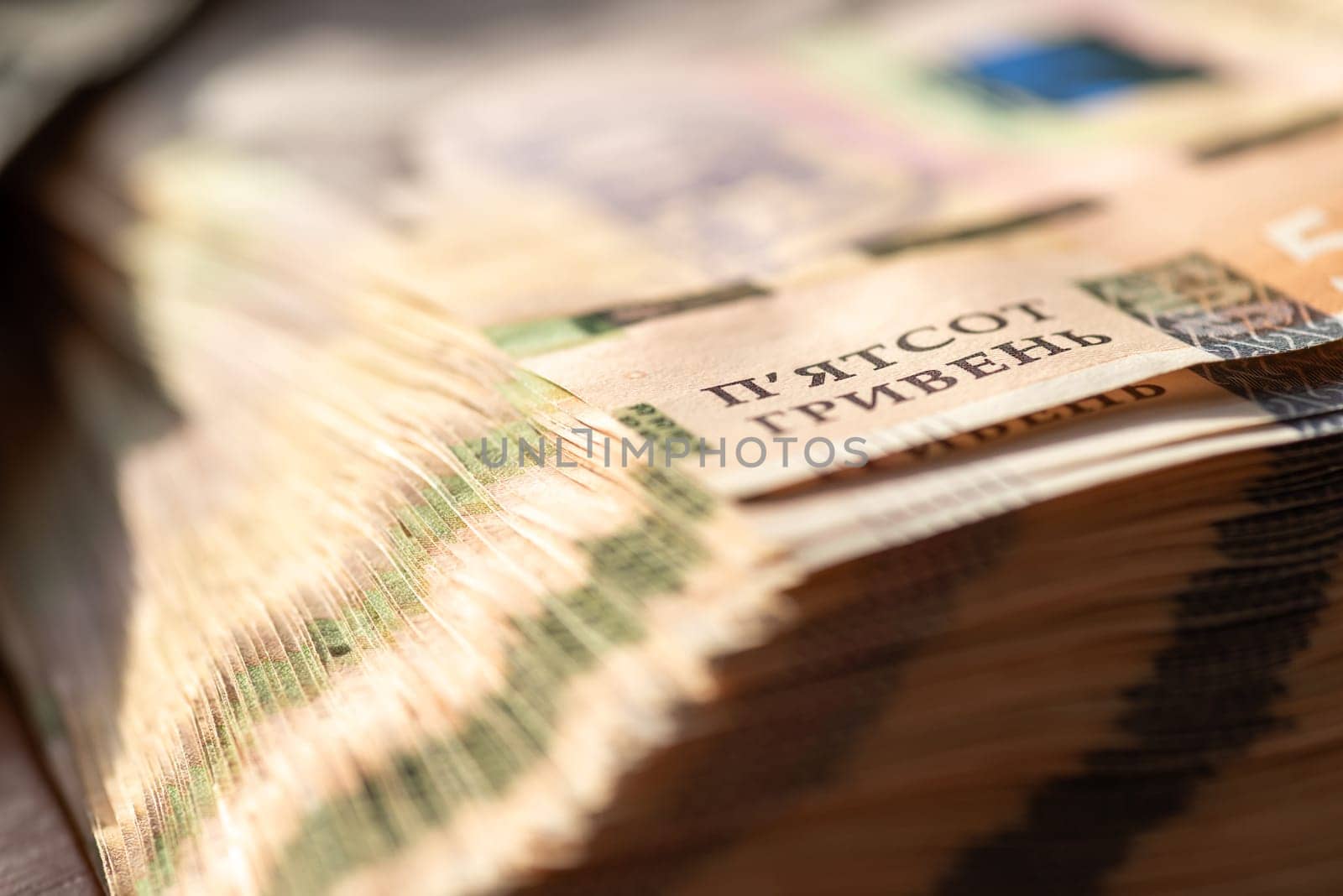 Macro shot of hryvnia banknotes by VitaliiPetrushenko