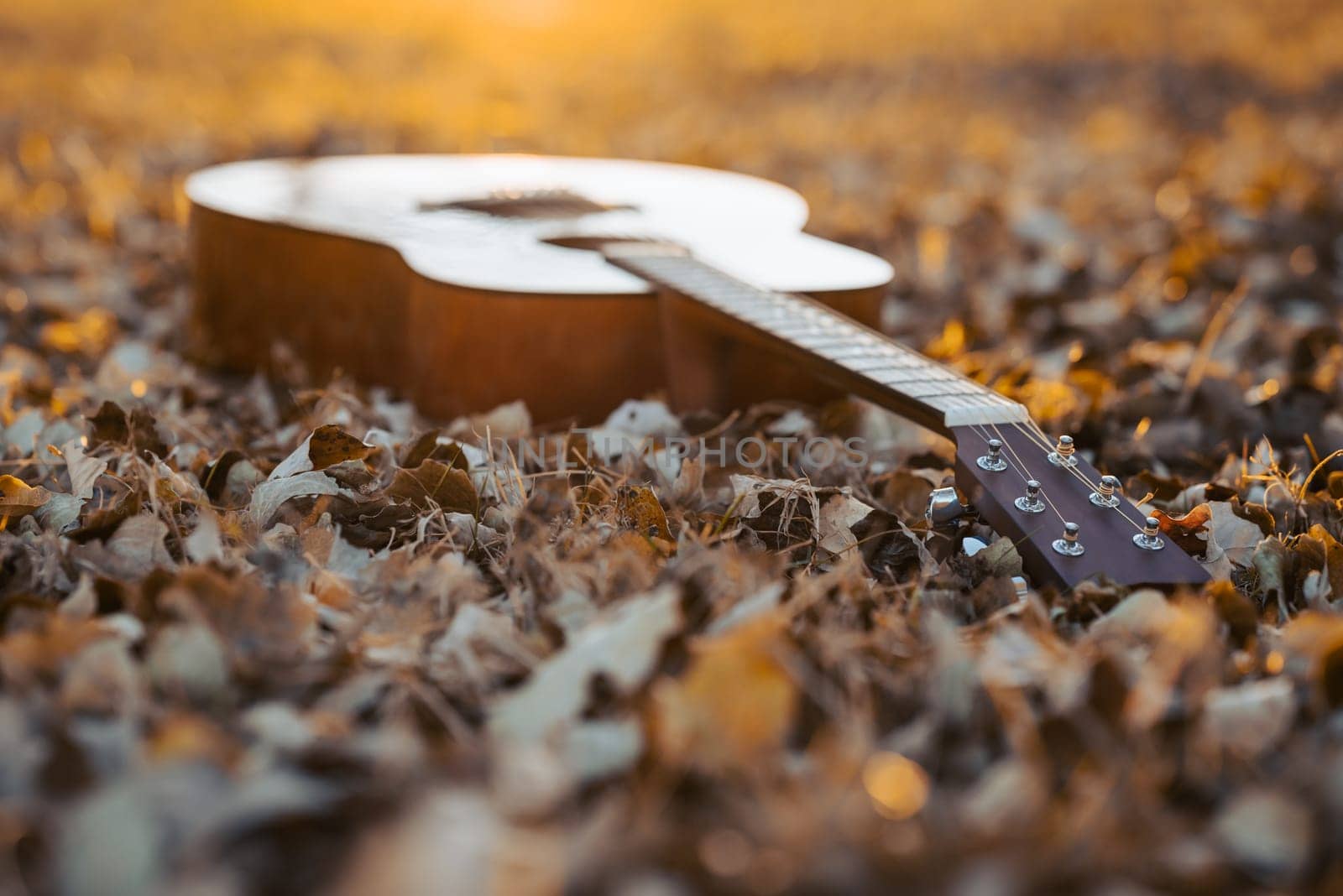 Close up of a guitar laying in leaves lit by last warm evening sunlight