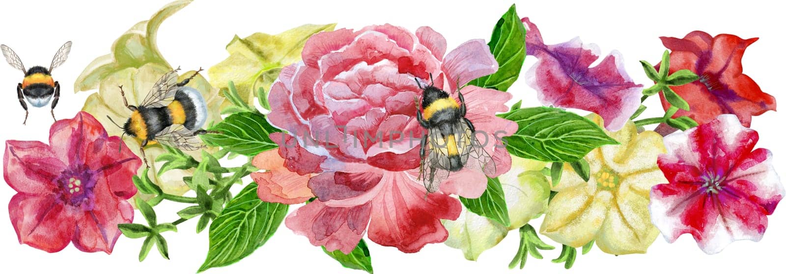 Composition of color petunia and peony flowers. Watercolor illustration by NataOmsk