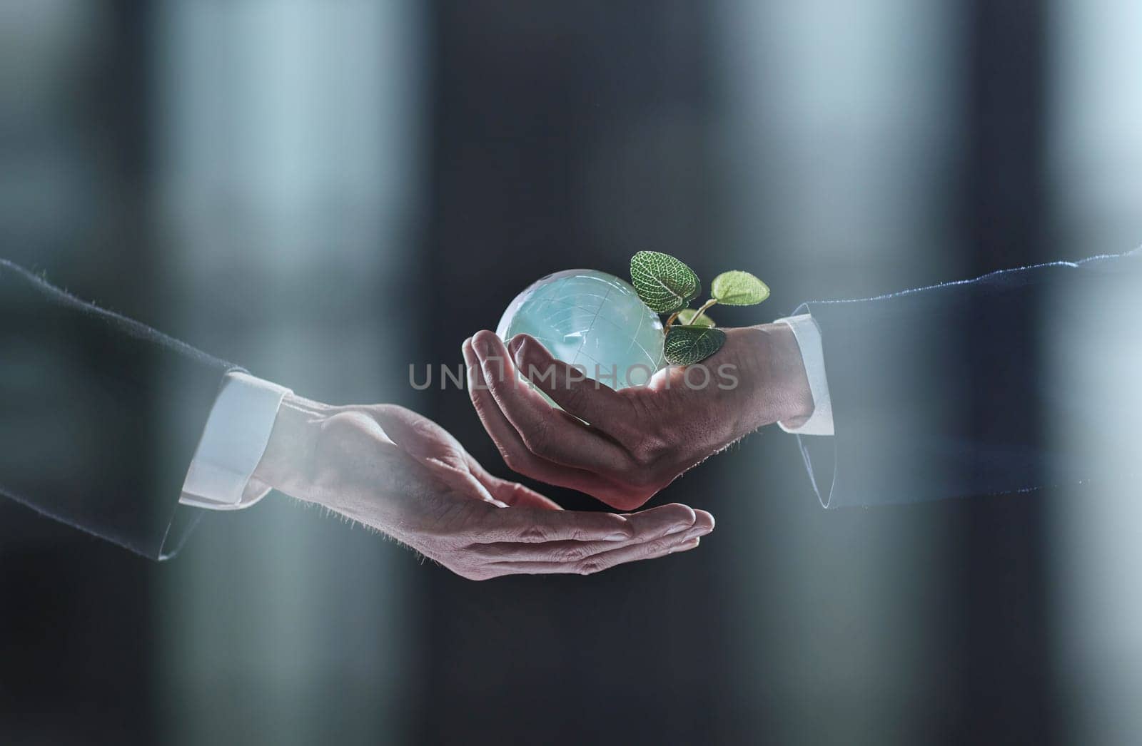 Plabt Growing inside a Sphere - Hand Holding - Eco Concept by Prosto