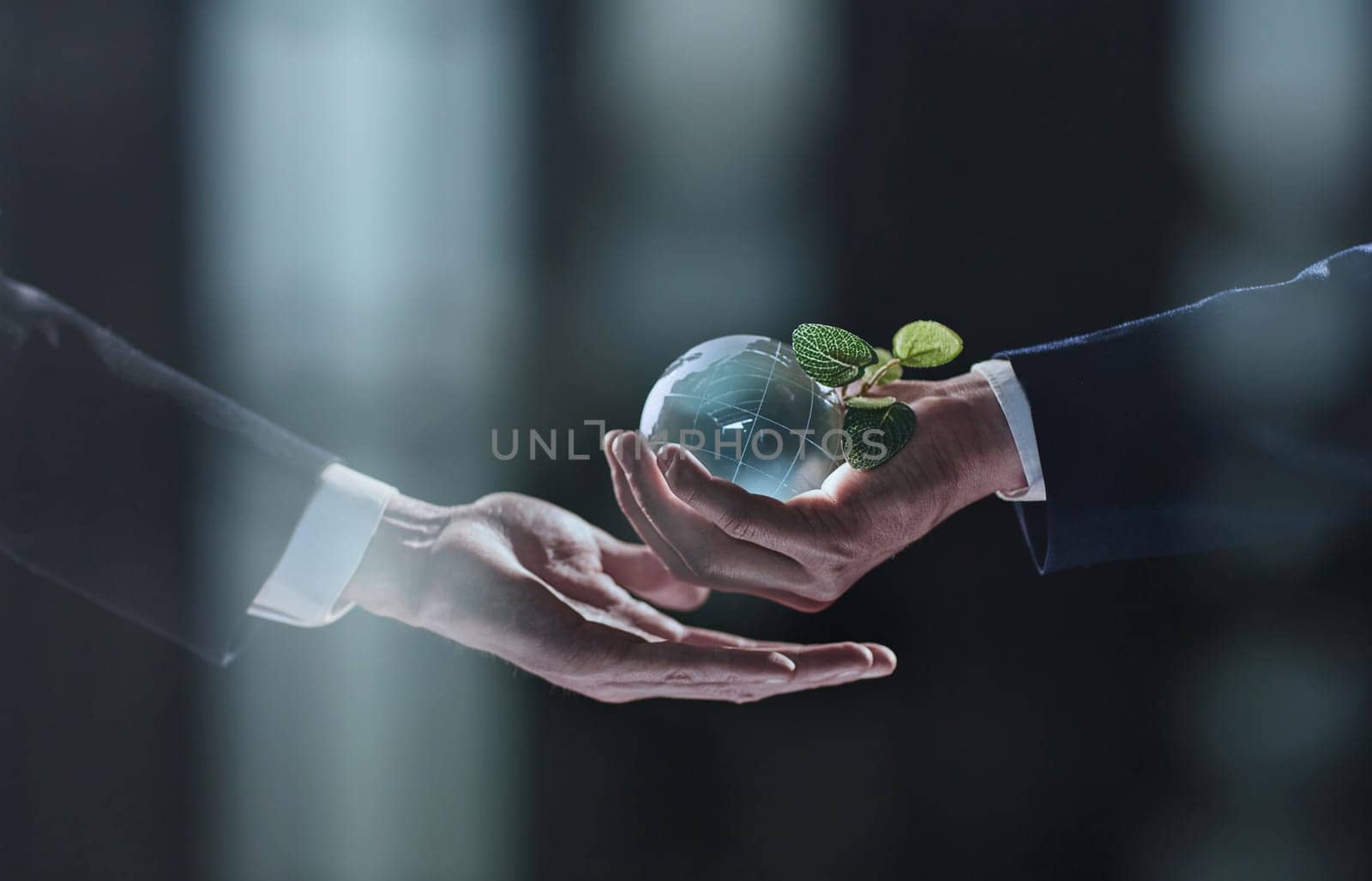 Plabt Growing inside a Sphere - Hand Holding - Eco Concept by Prosto