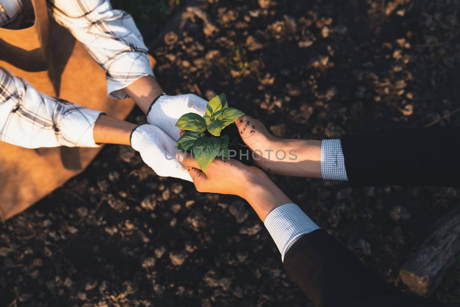 Eco-business company empower farmer with eco-friendly farming practice. Gyre by biancoblue