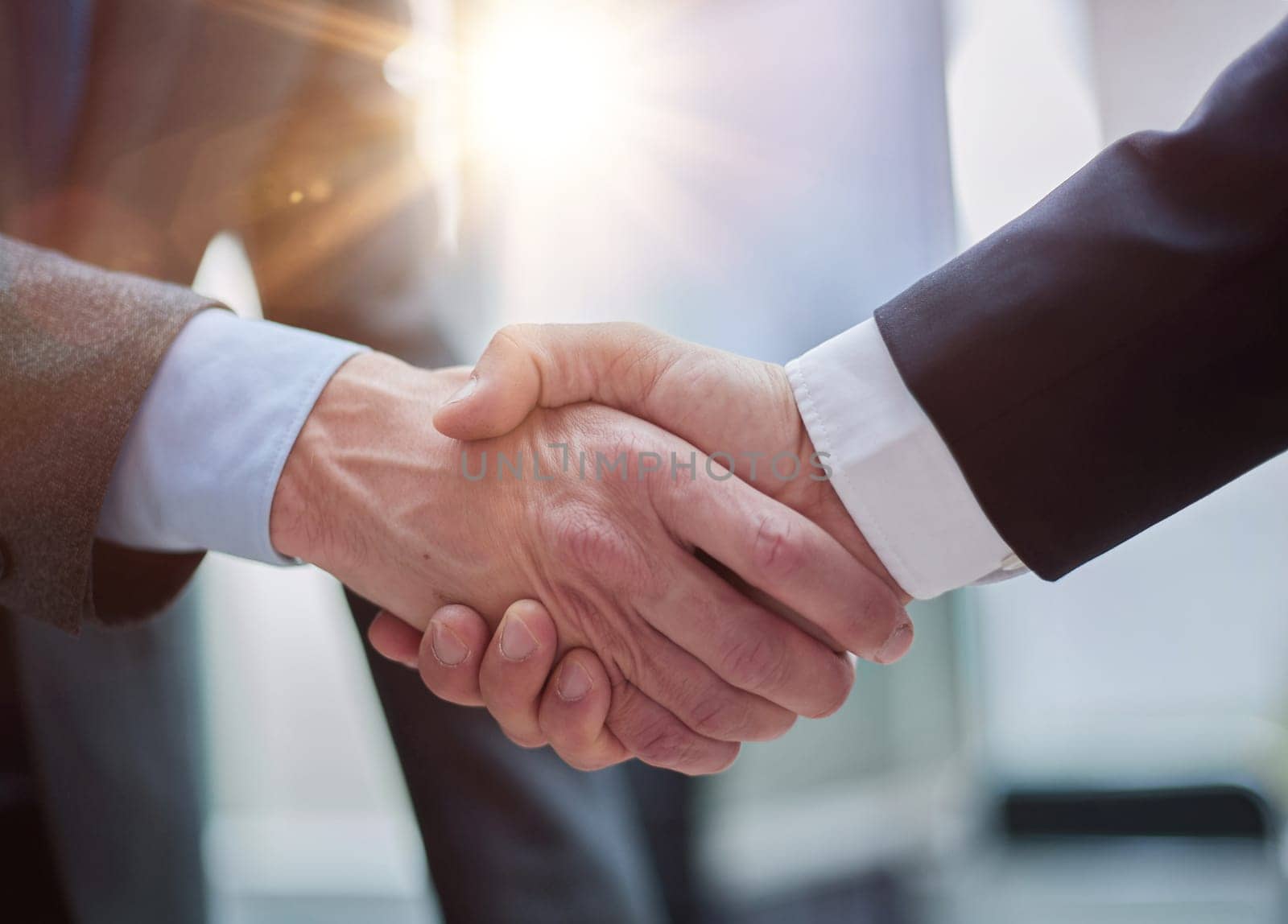 Two diverse professional business men executive leaders shaking hands at office meeting