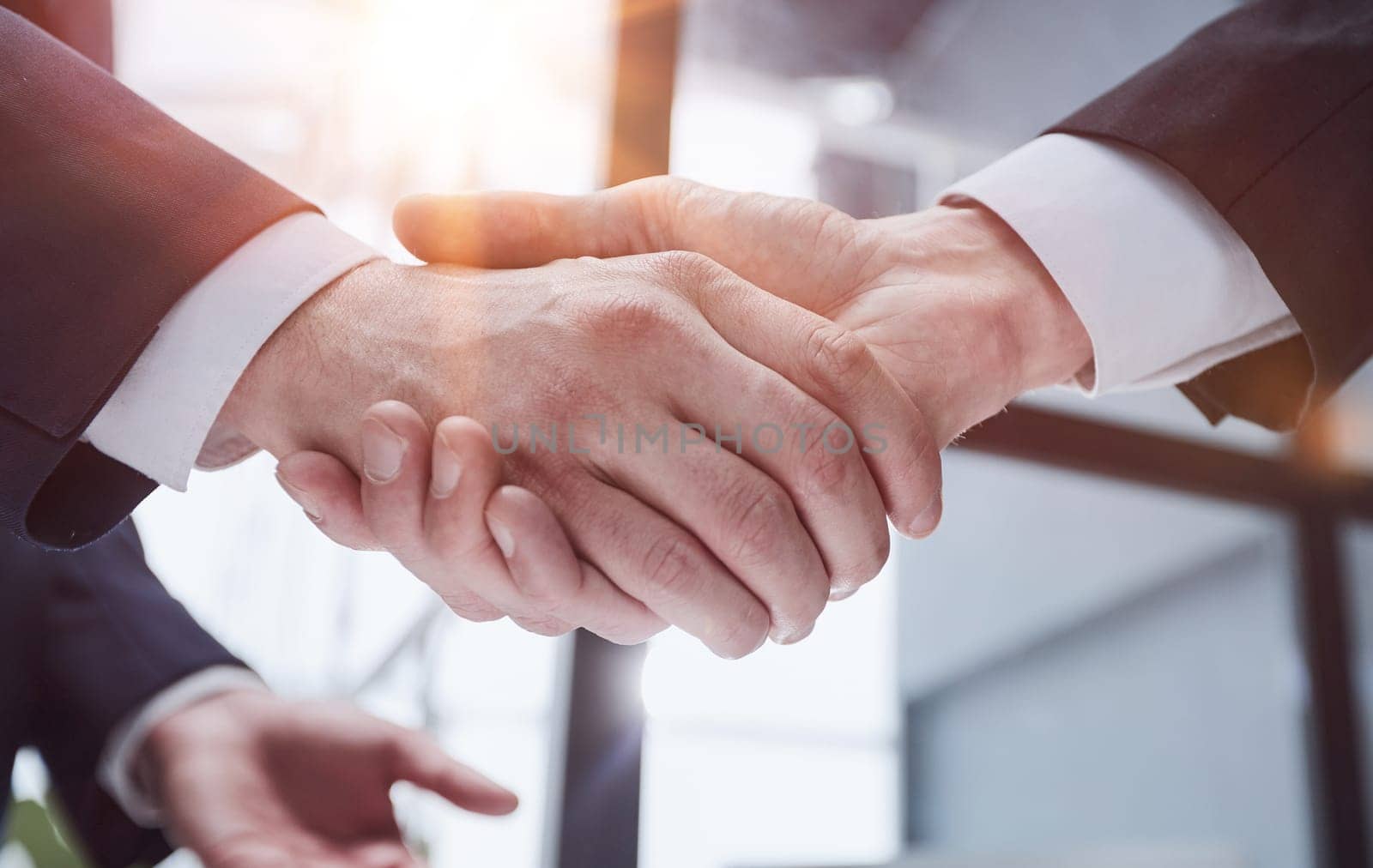 Portrait of elegant businessmen handshaking in conference hall by Prosto