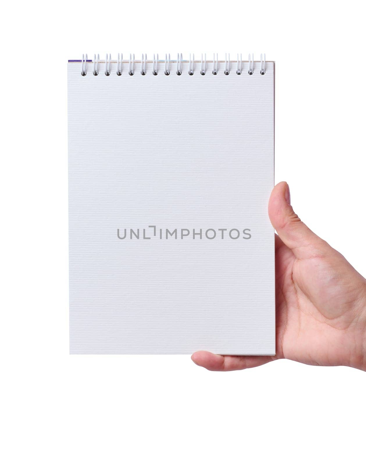 Female hand holding an open notepad on a white isolated background
