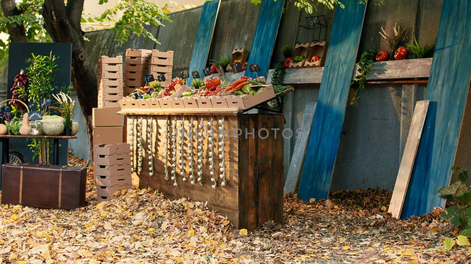 Empty farmers market counter with local eco products on display with fresh organic agricultural produce. Various colorful bio seasonal fruits and vegetables on table at fair or harvest festival.