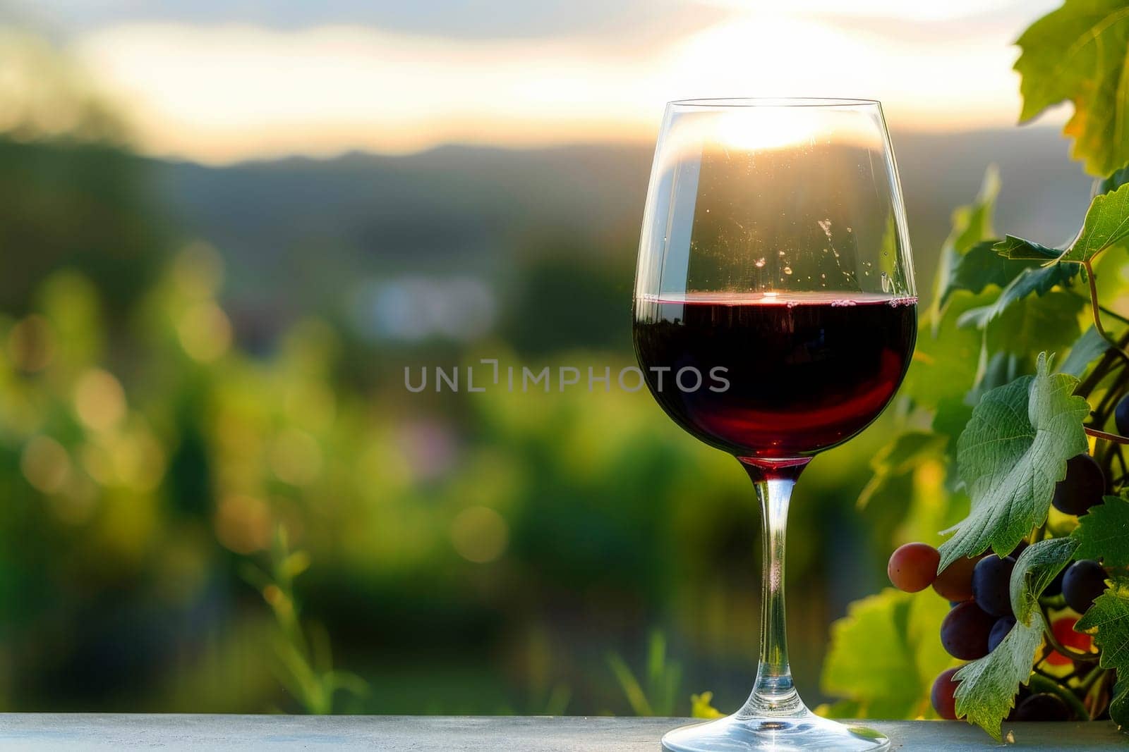 red Wine glasses, vineyard landscape and grapes in nature. Generative ai.