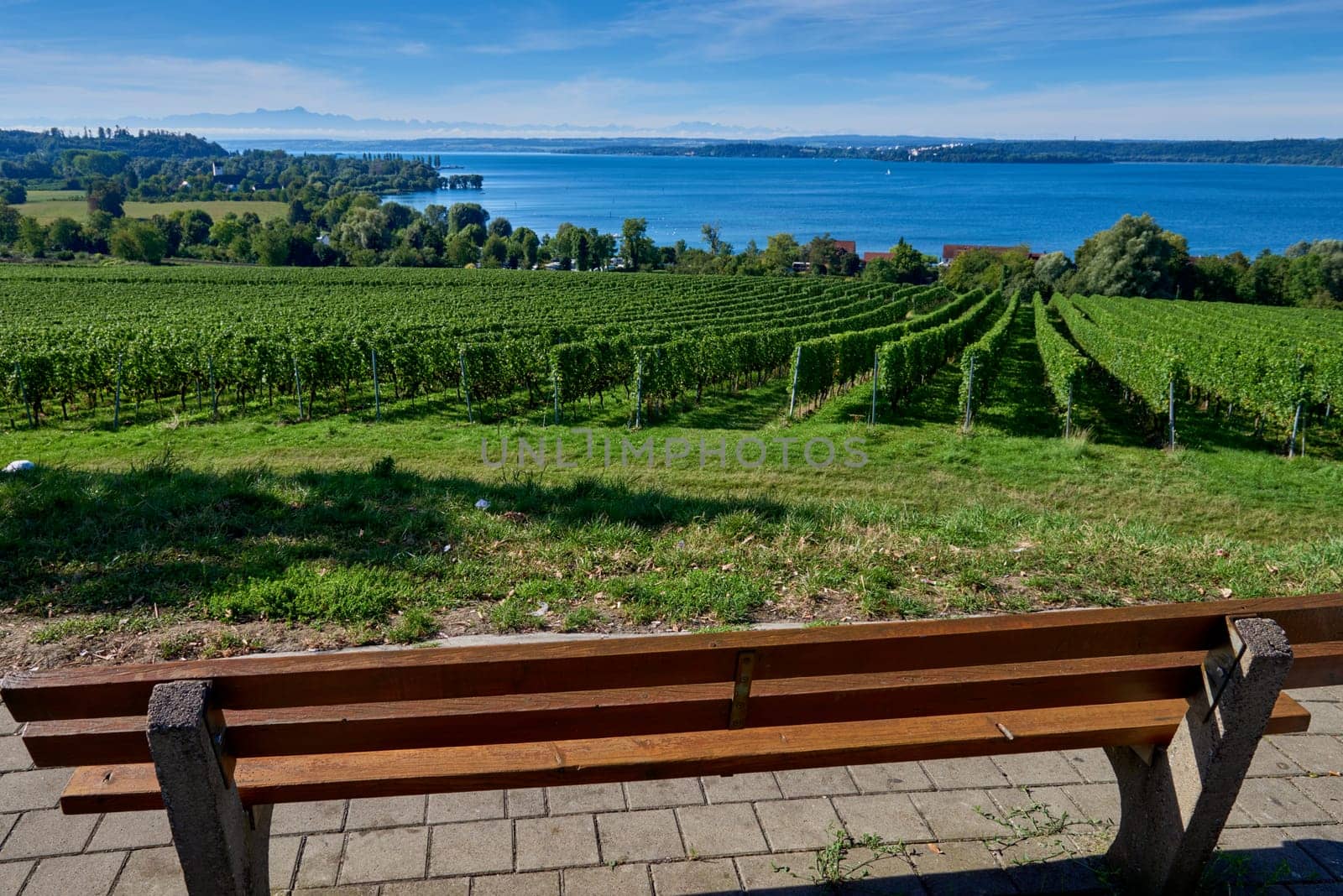 Bench Amidst Vineyards, Overlooking a Mountain Lake and Peaks. Resting Bench with Grapevines, Mountain Lake, and Distant Peaks. Nature's Vista: Tranquil Bench on Hillside, Framing Mountain Lake and Majestic Peaks. Panoramic Perch: Hilltop Bench with Vineyard Views and a Mountainous Backdrop. Serenity Spot: Relaxing Bench on Hillside, Offering a View of Mountains and a Lake by Andrii_Ko