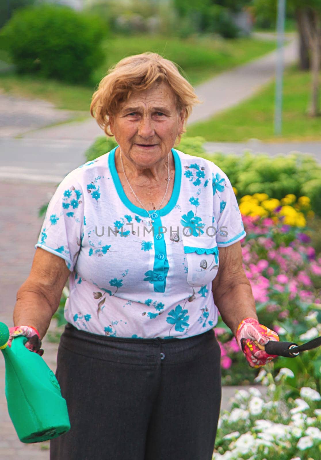 An elderly woman plants flowers in the garden. Selective focus. by yanadjana