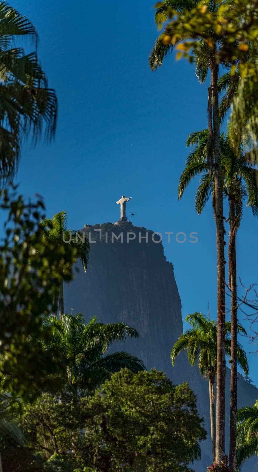 Statue silhouette on mountain with tropical flora under blue sky.