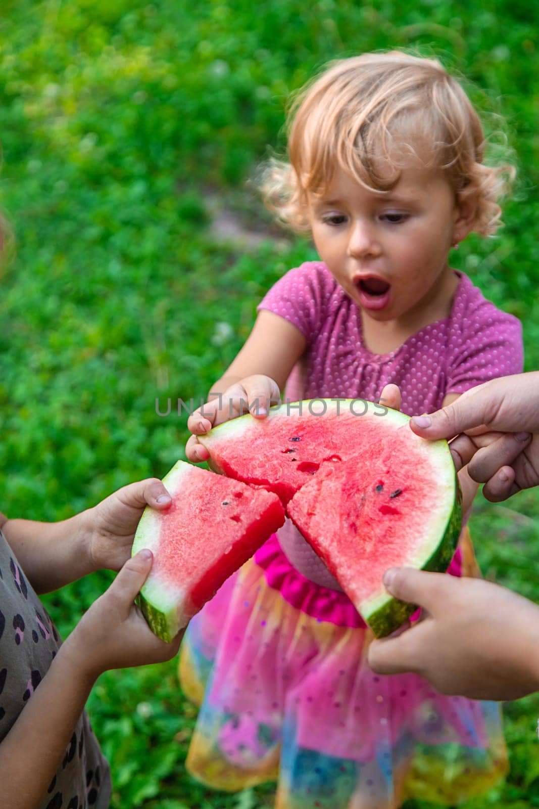 Children in the park eat watermelon. Selective focus. by yanadjana