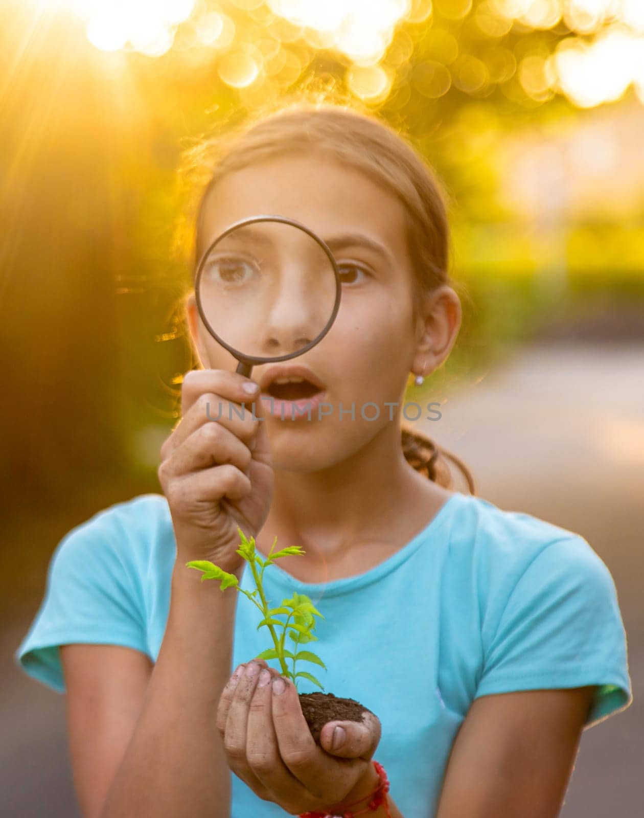 A child looks at a plant in his hands with a magnifying glass. Selective focus. Kid.