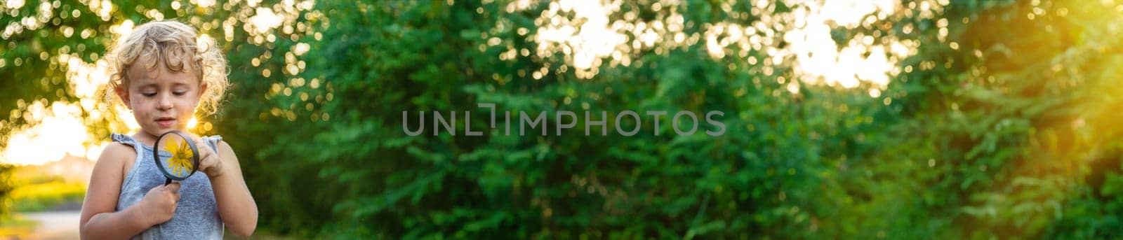 A child looks at a flower with a magnifying glass. Selective focus. Kid.