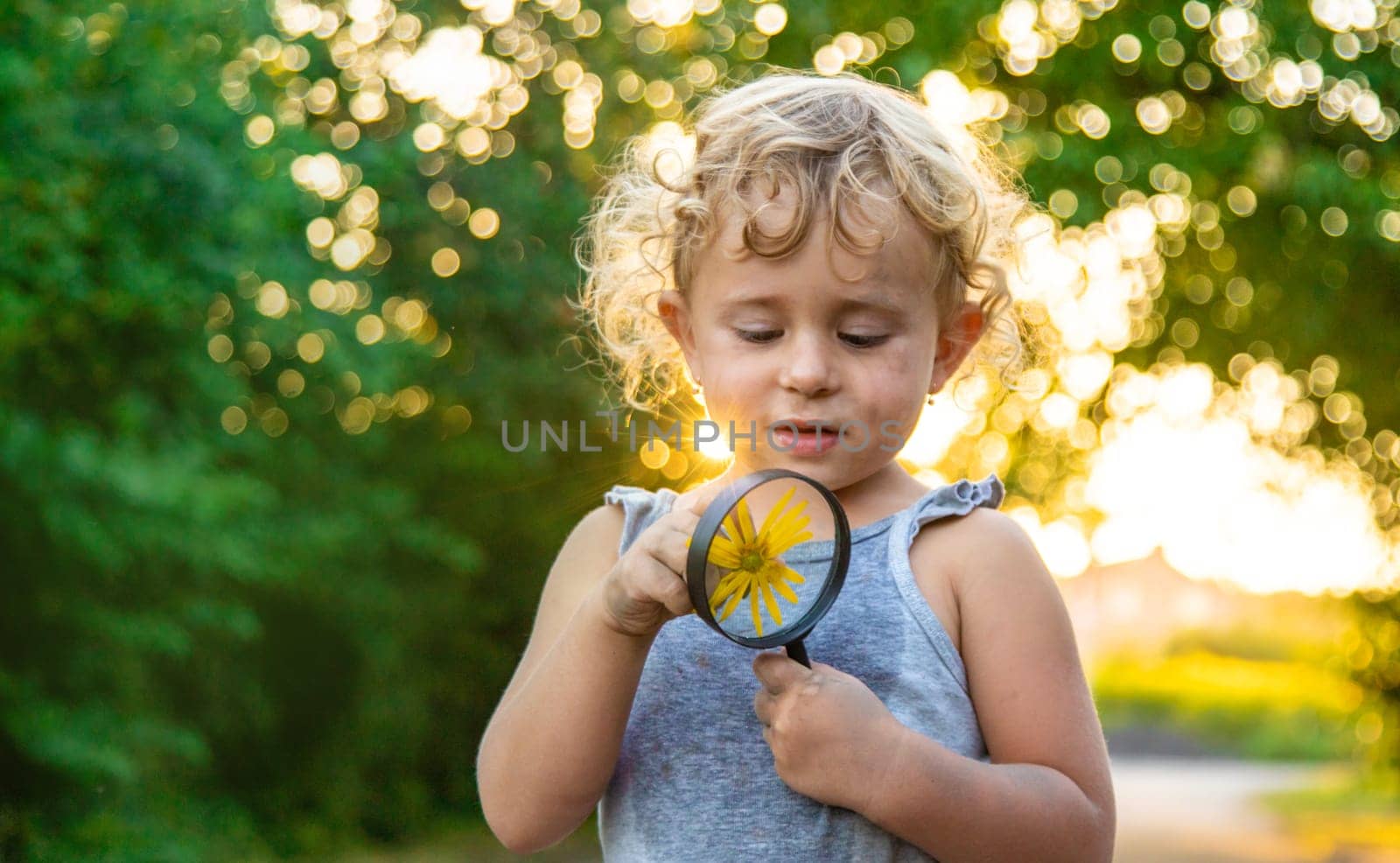 A child looks at a flower with a magnifying glass. Selective focus. Kid.