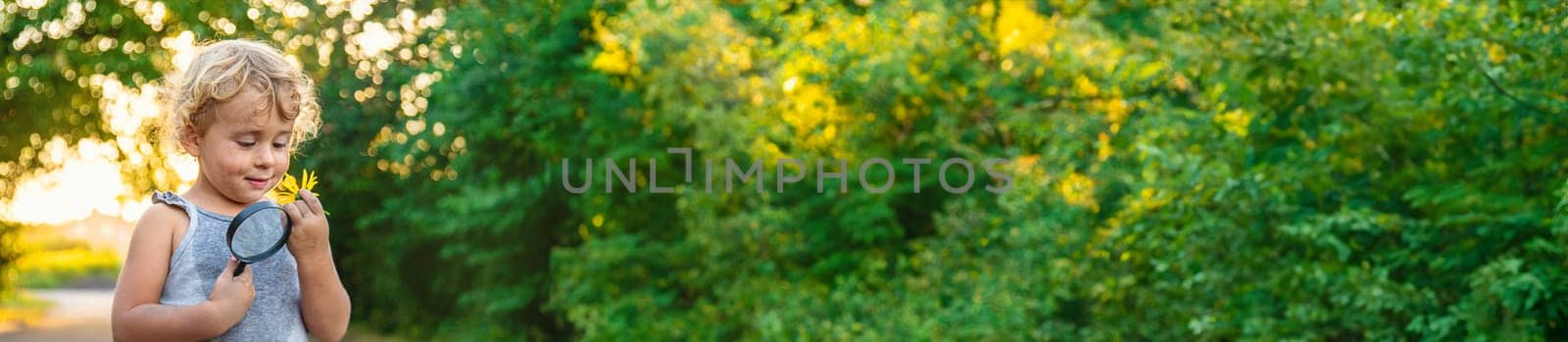 A child looks at a flower with a magnifying glass. Selective focus. Kid.