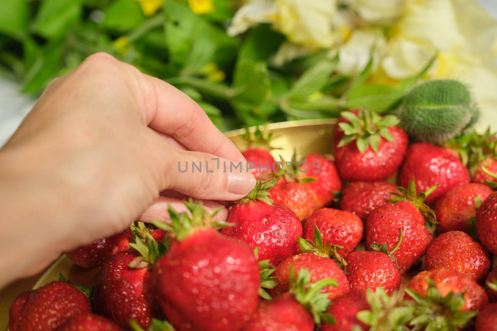Eco-friendly organic grown without chemical processing ripe washed strawberry. Berries on tray on table at home, bon appetit