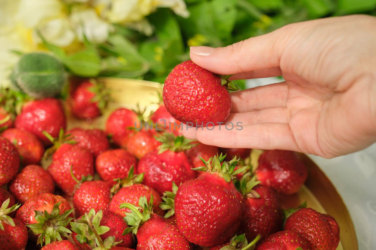 Eco-friendly organic grown without chemical processing ripe washed strawberry. Berries on tray on table at home, bon appetit