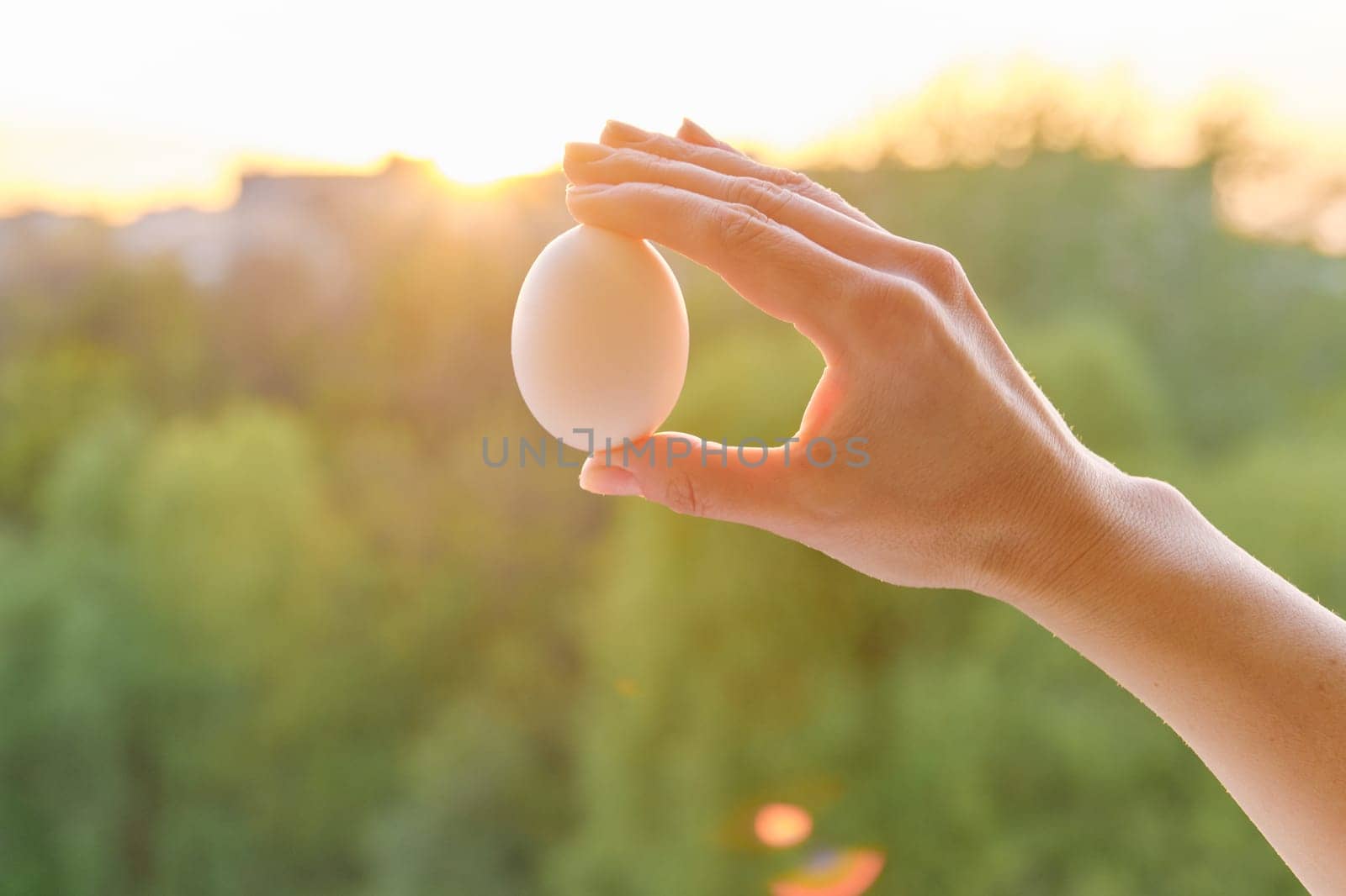 Hand holding one white egg, conceptual photo background sunset by VH-studio