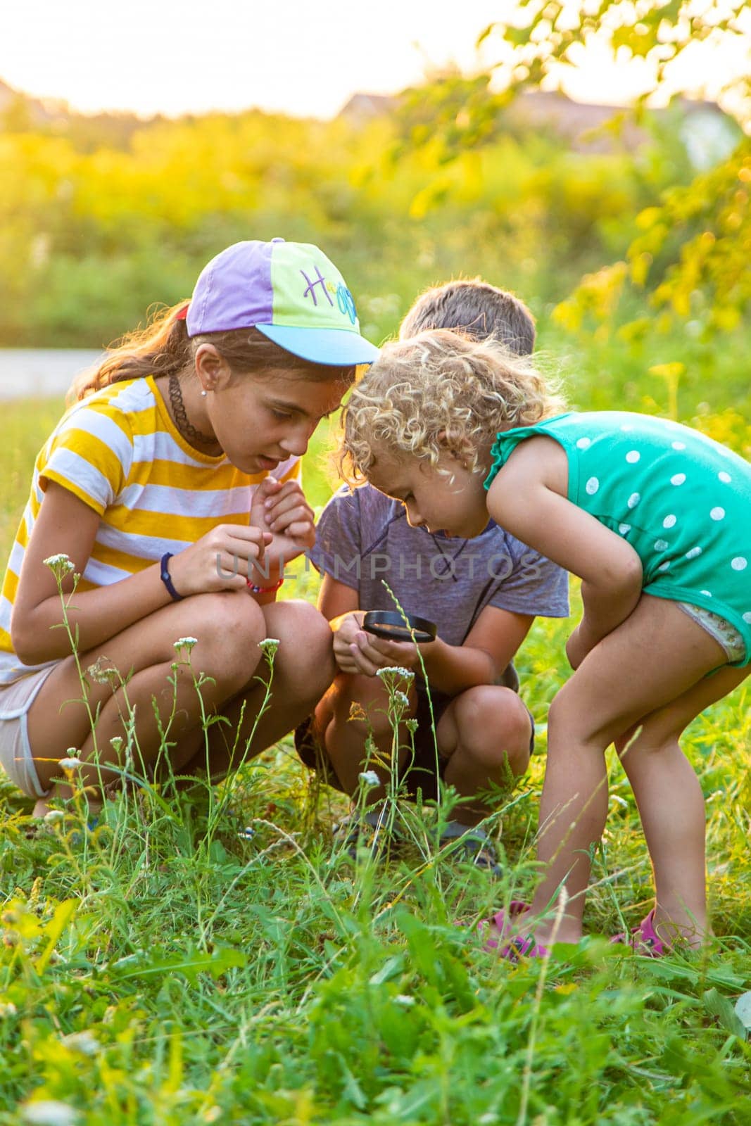 Children look through a magnifying glass together at the plants in the garden. Selective focus. Kid.