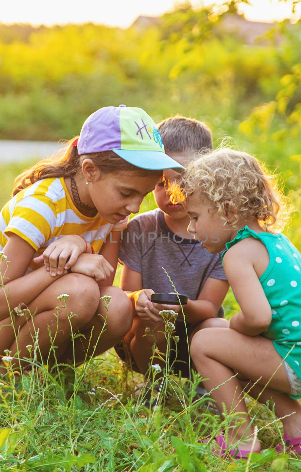 Children look through a magnifying glass together at the plants in the garden. Selective focus. Kid.