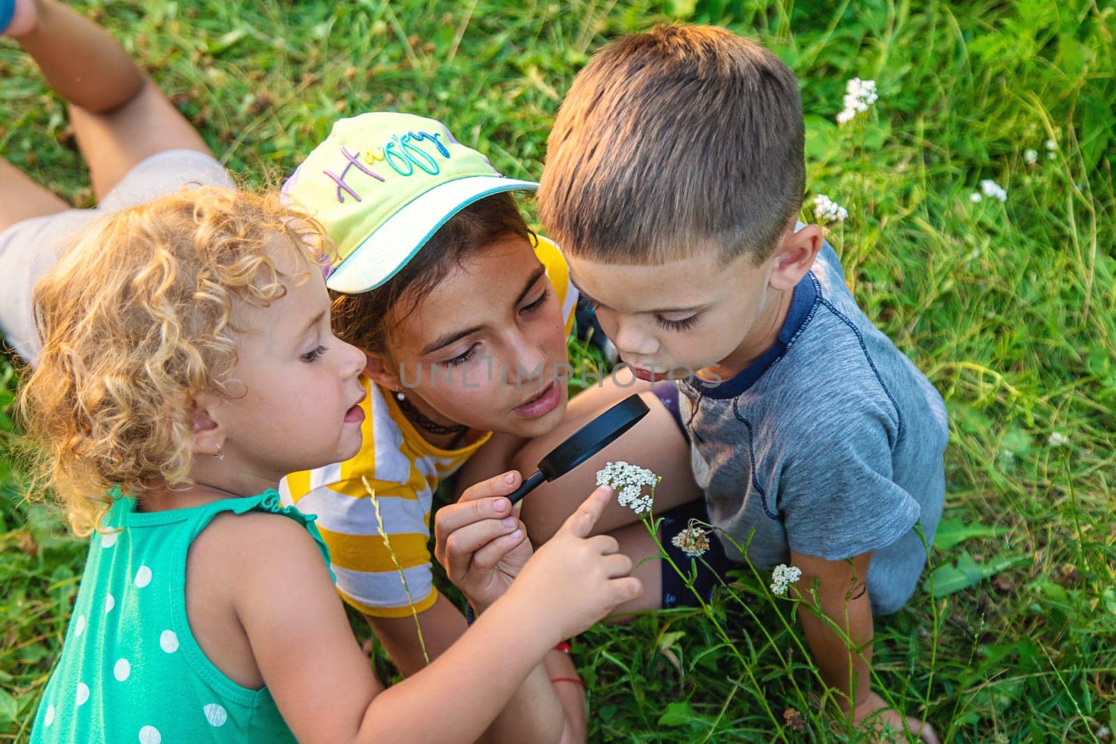 Children look through a magnifying glass together at the plants in the garden. Selective focus. by yanadjana