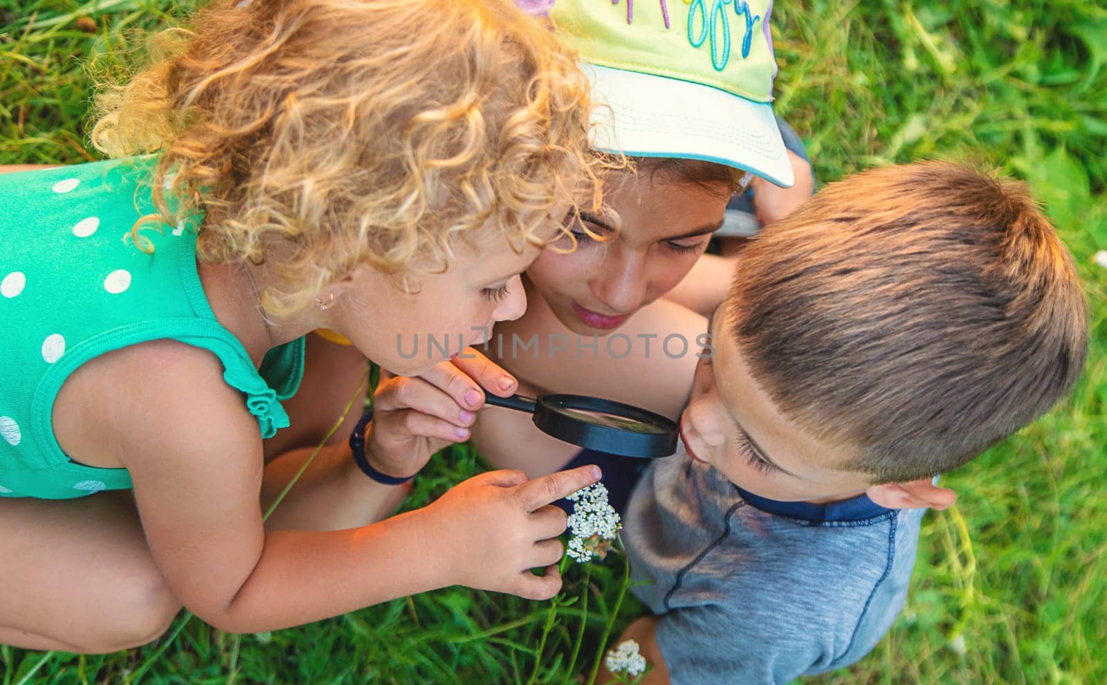 Children look through a magnifying glass together at the plants in the garden. Selective focus. Kid.