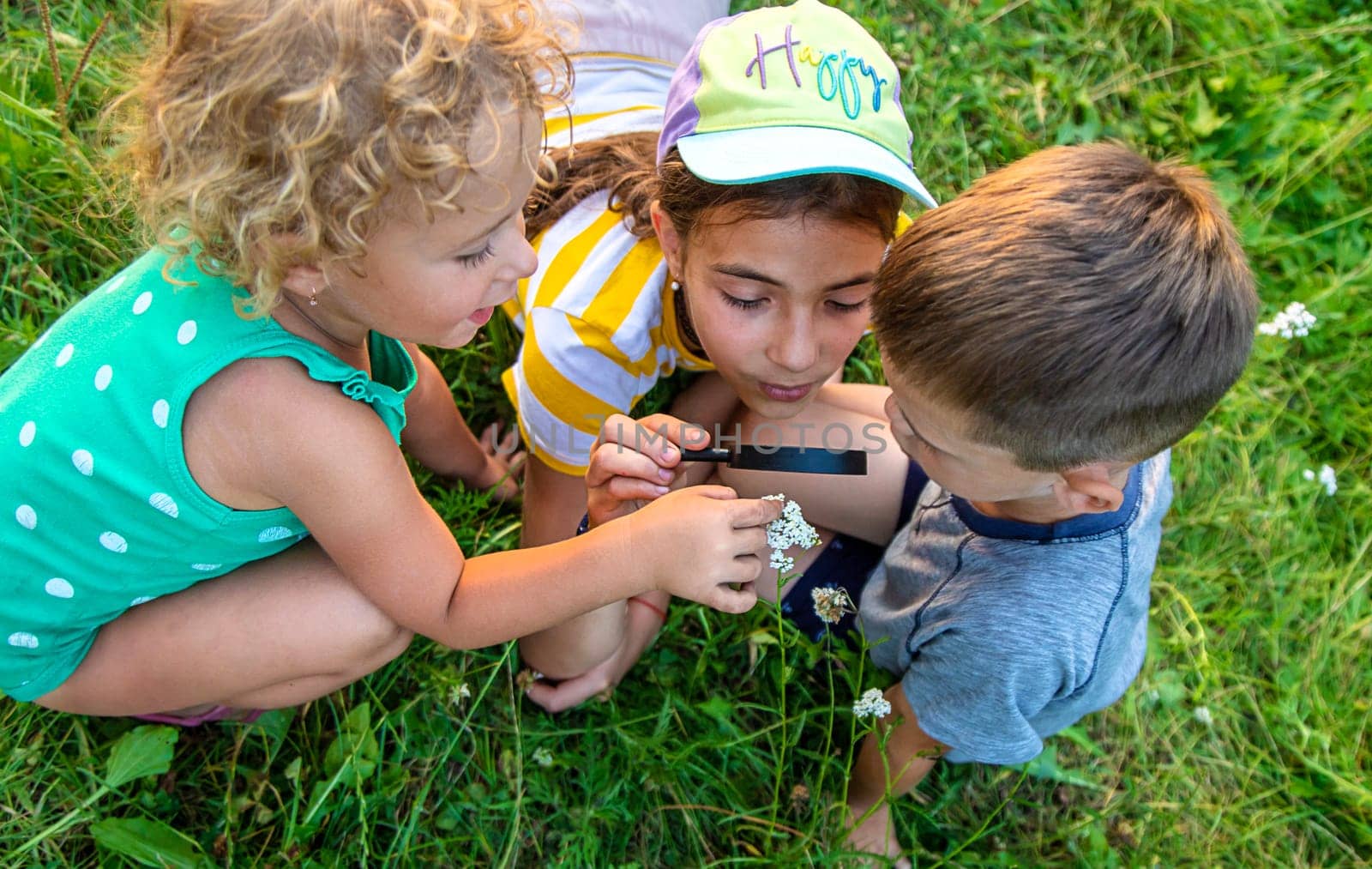 Children look through a magnifying glass together at the plants in the garden. Selective focus. Kid.