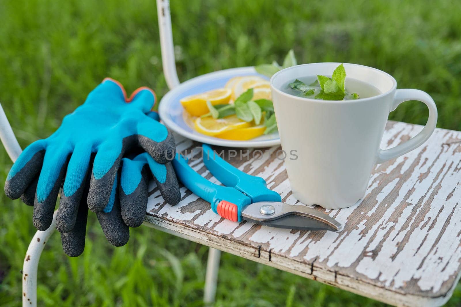 Chair with garden pruner, gloves, cup of fresh herbal mint tea with lemon by VH-studio