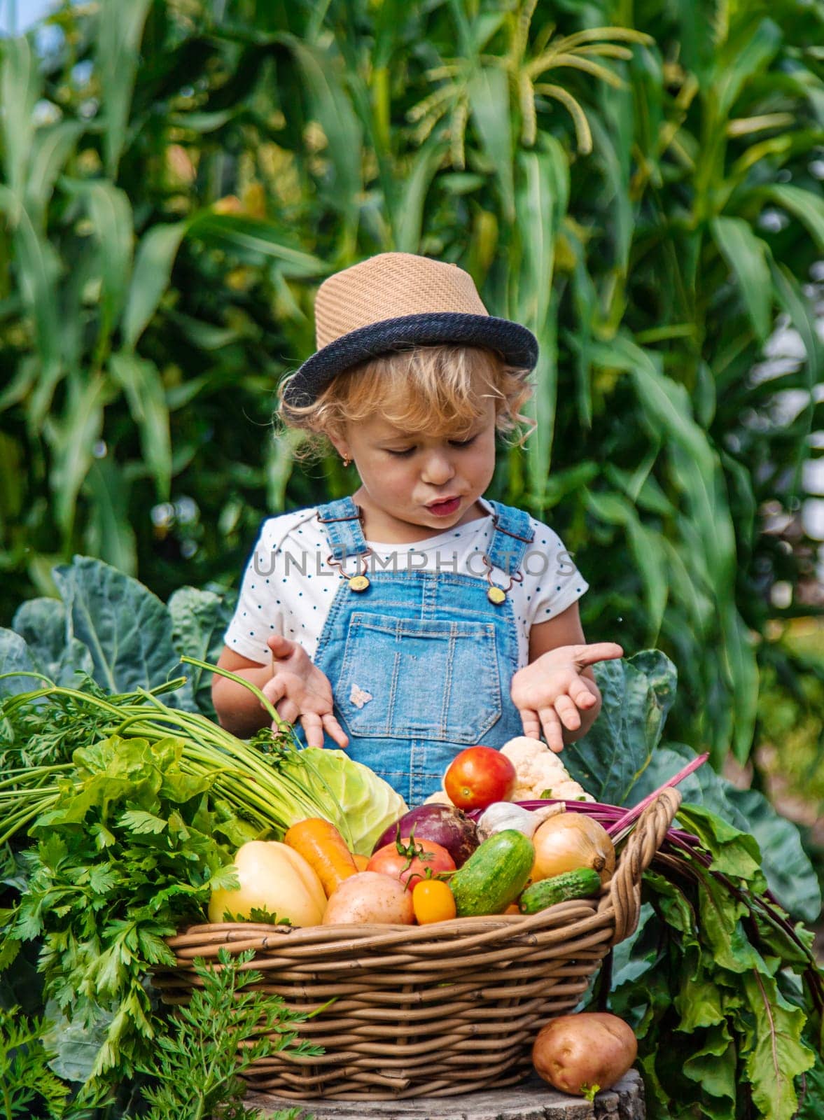 A child harvests vegetables in the garden. Selective focus. by yanadjana