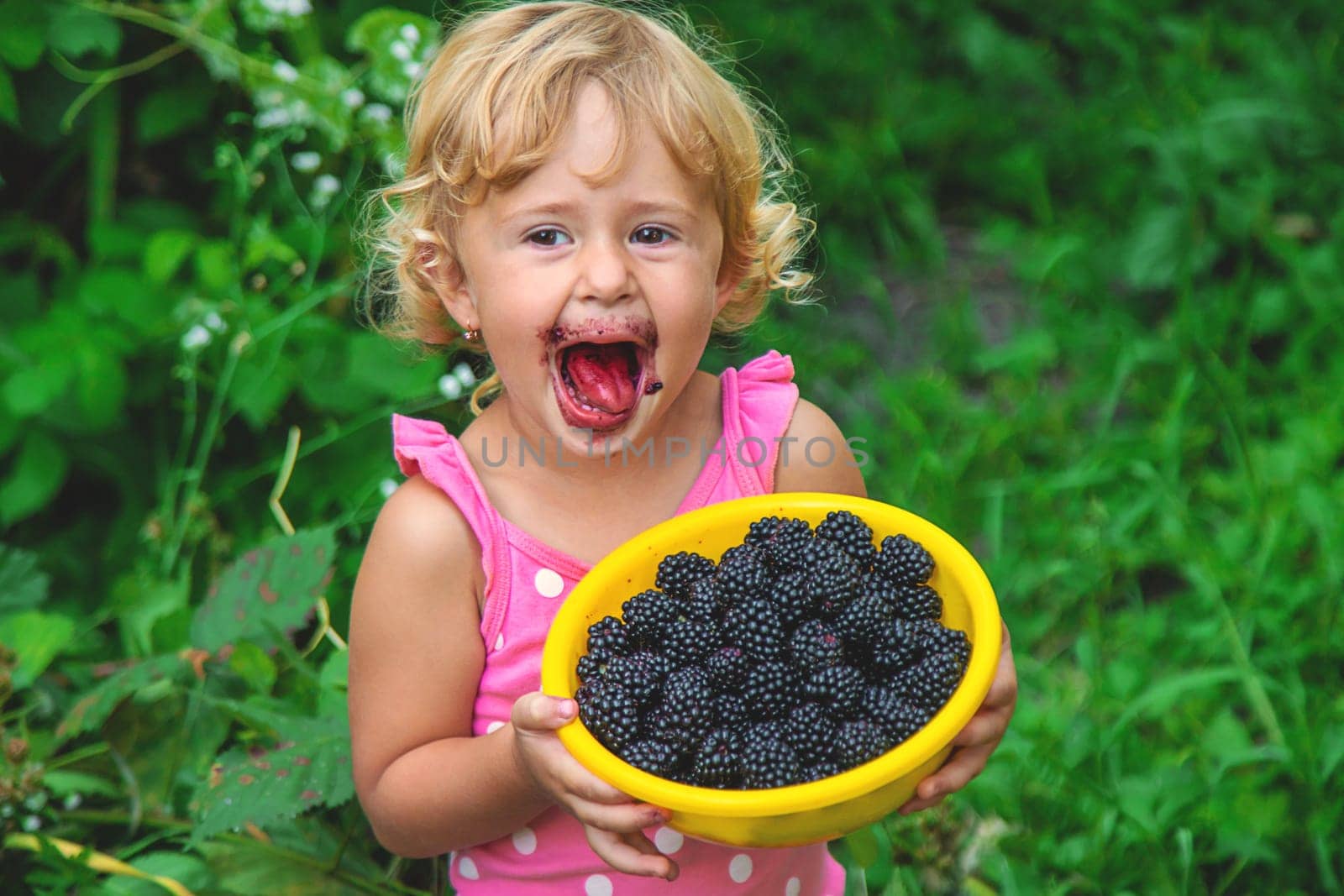 A child in the garden eats blackberries. Selective focus. Kid.