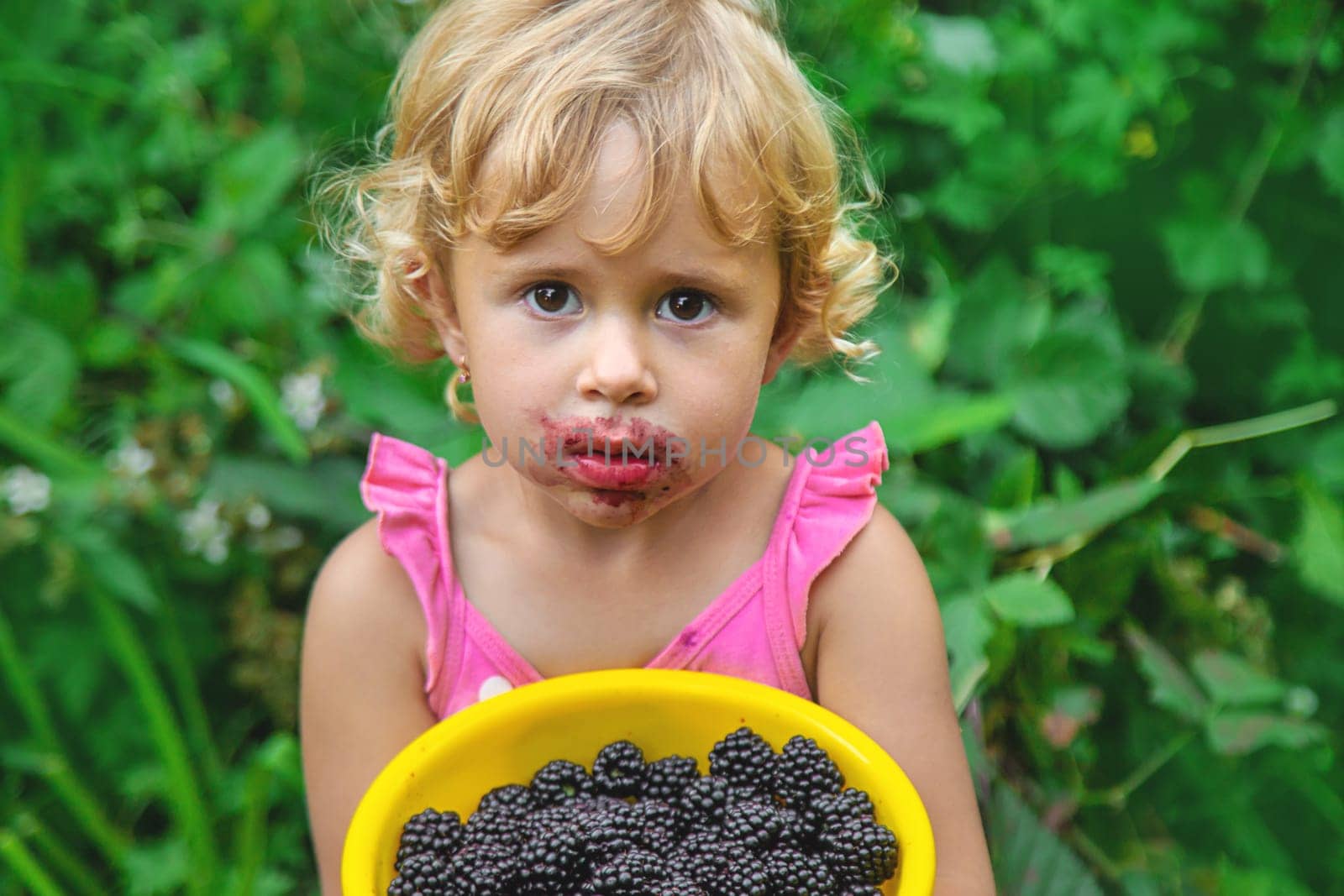 A child in the garden eats blackberries. Selective focus. Kid.