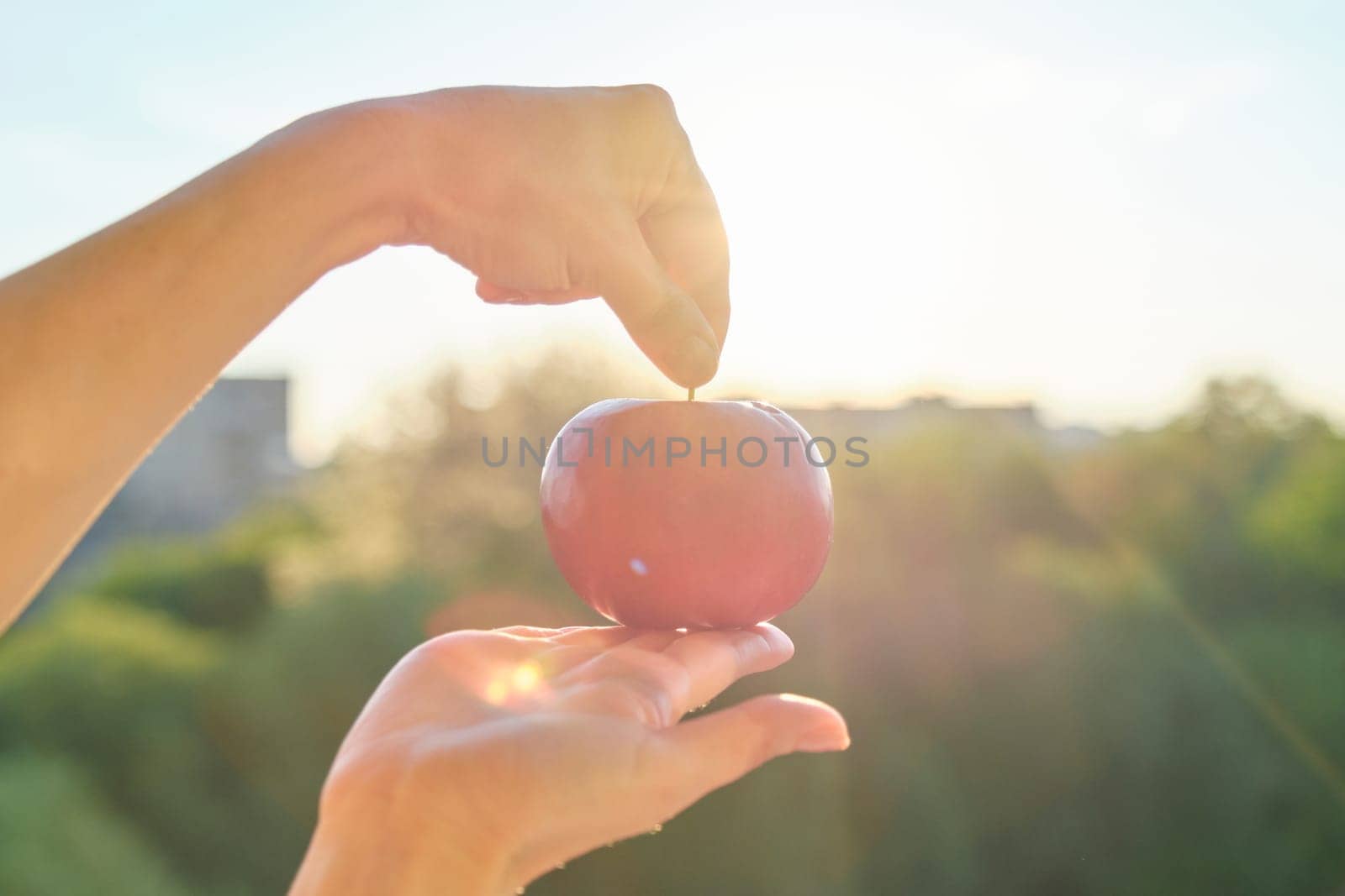 One red apple in a hand close-up, nature sunset sky background.