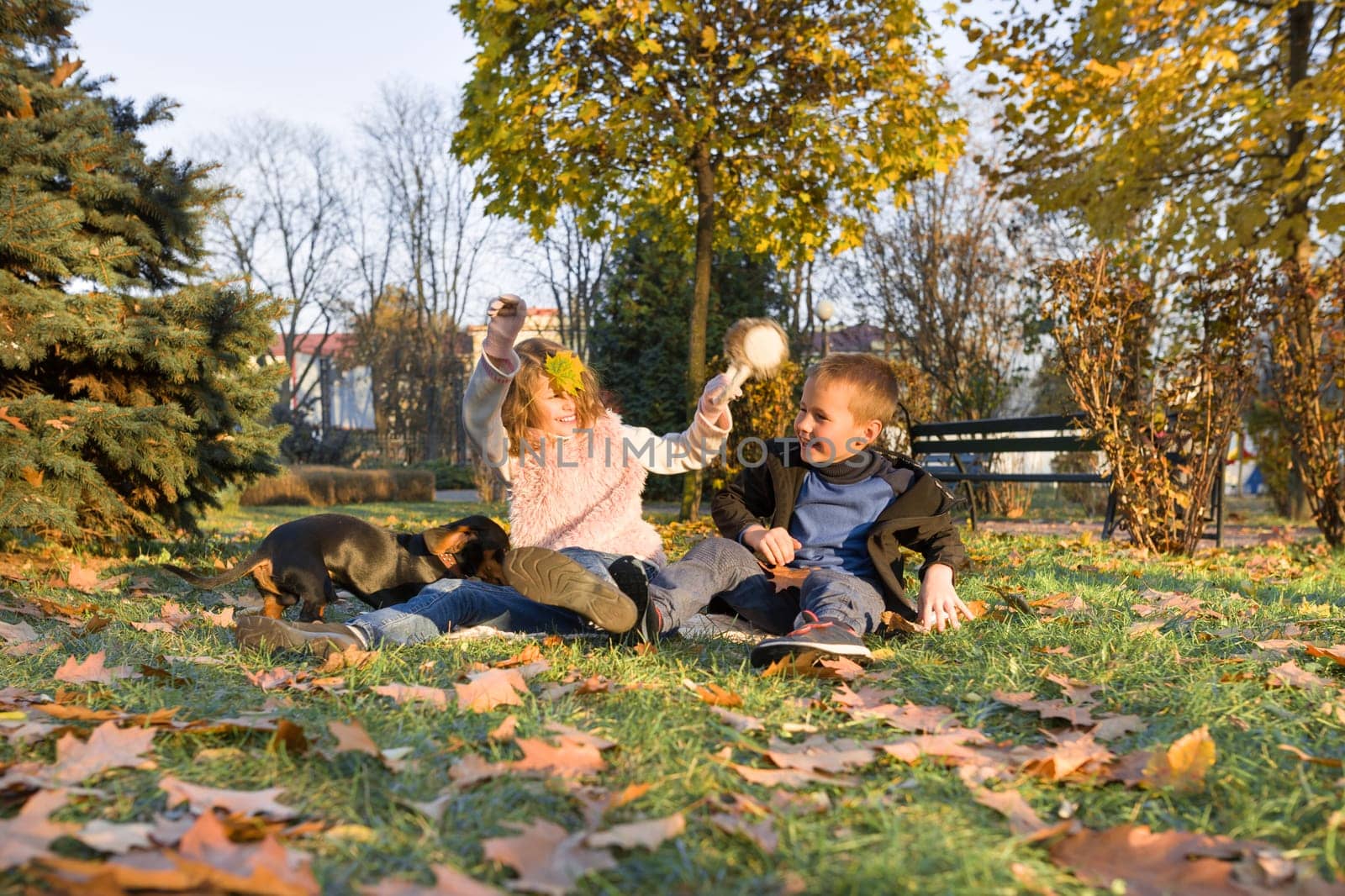 Happy kids boy and girl playing with dog sitting on yellow leaves in sunny autumn park, leaf fall golden hour
