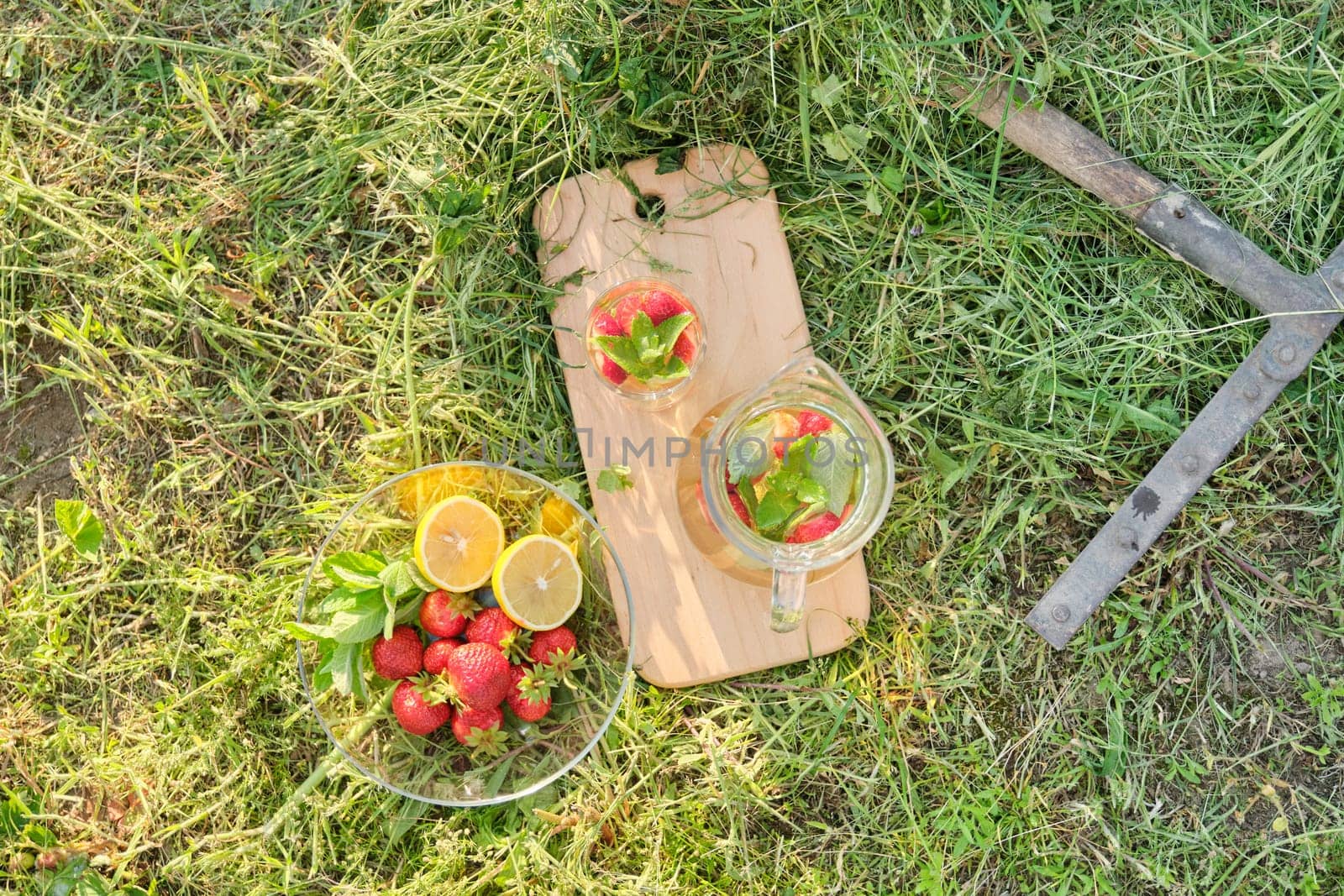 Summer refreshing natural homemade drinks, jug and glass of herbal tea with strawberries mint lemon on the grass, nature garden background, healthy lifestyle and food, golden hour