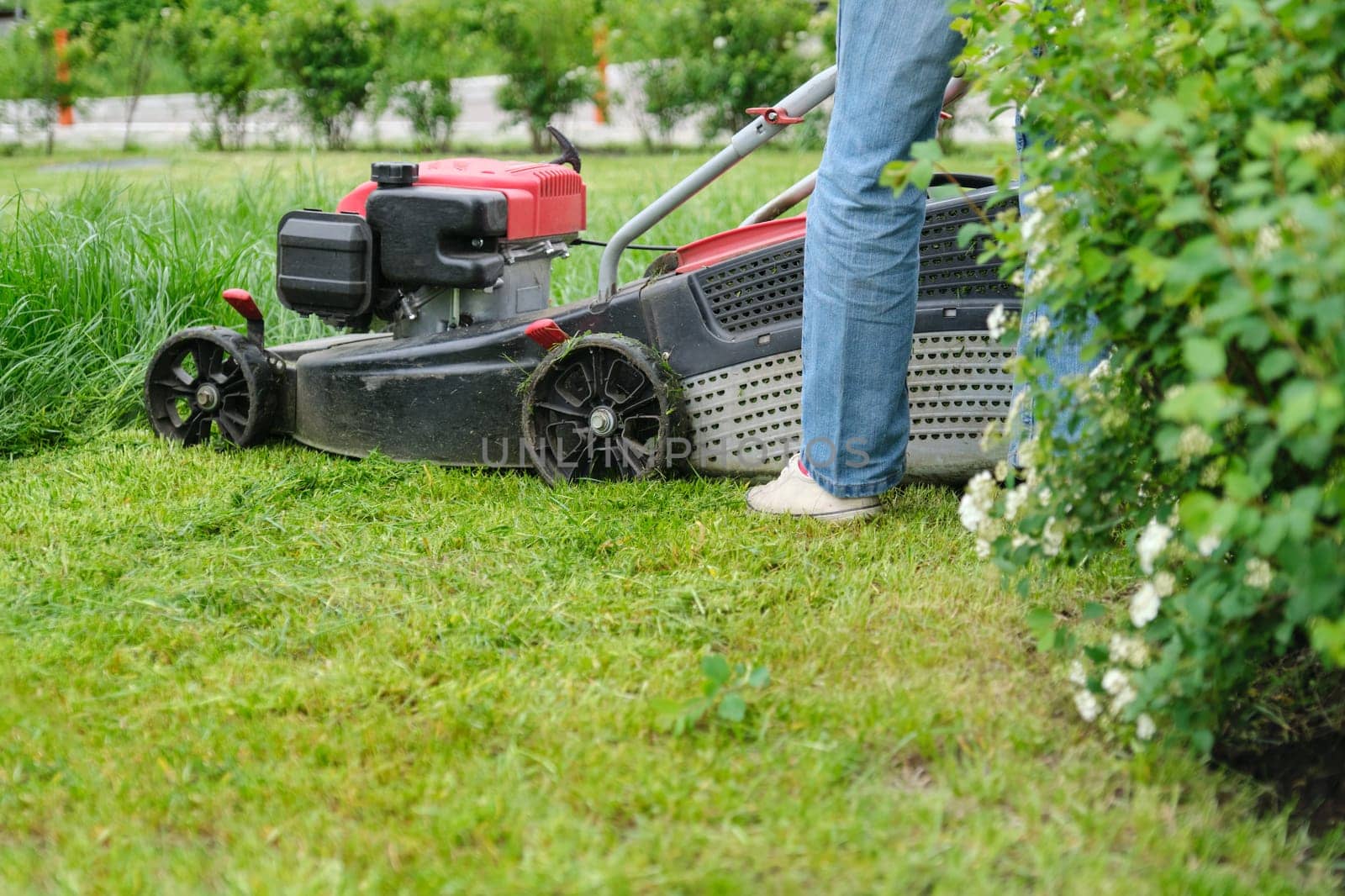 Lawn mower cutting green grass, gardener with lawnmower working by VH-studio
